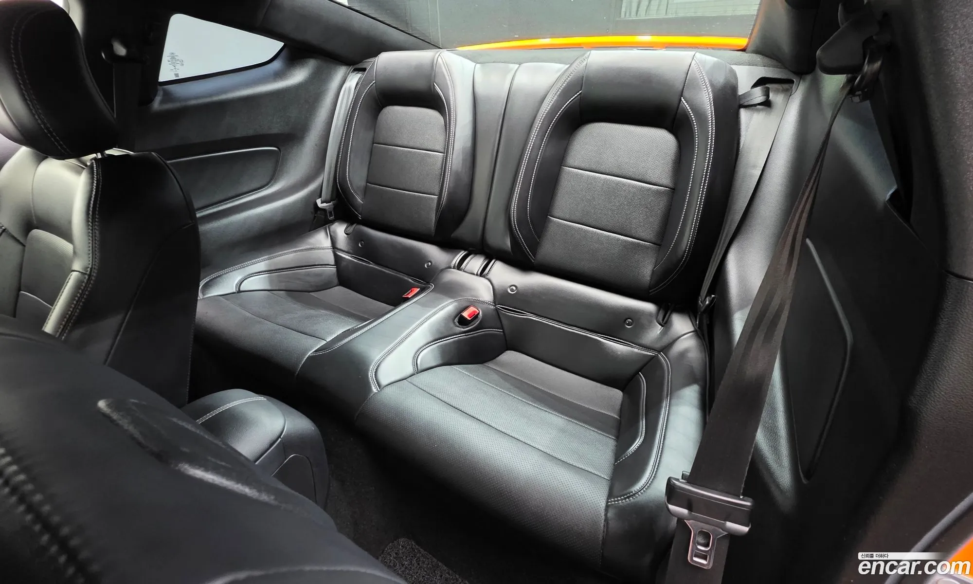Ford Mustang 2019 1FA6P8CF9K5165612 — 3