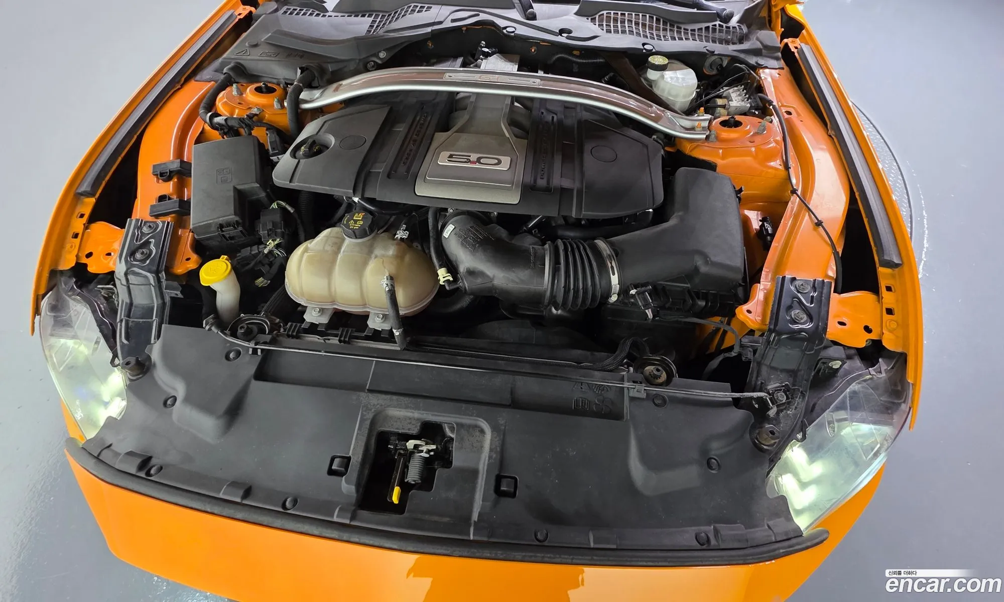 Ford Mustang 2019 1FA6P8CF9K5165612 — 11