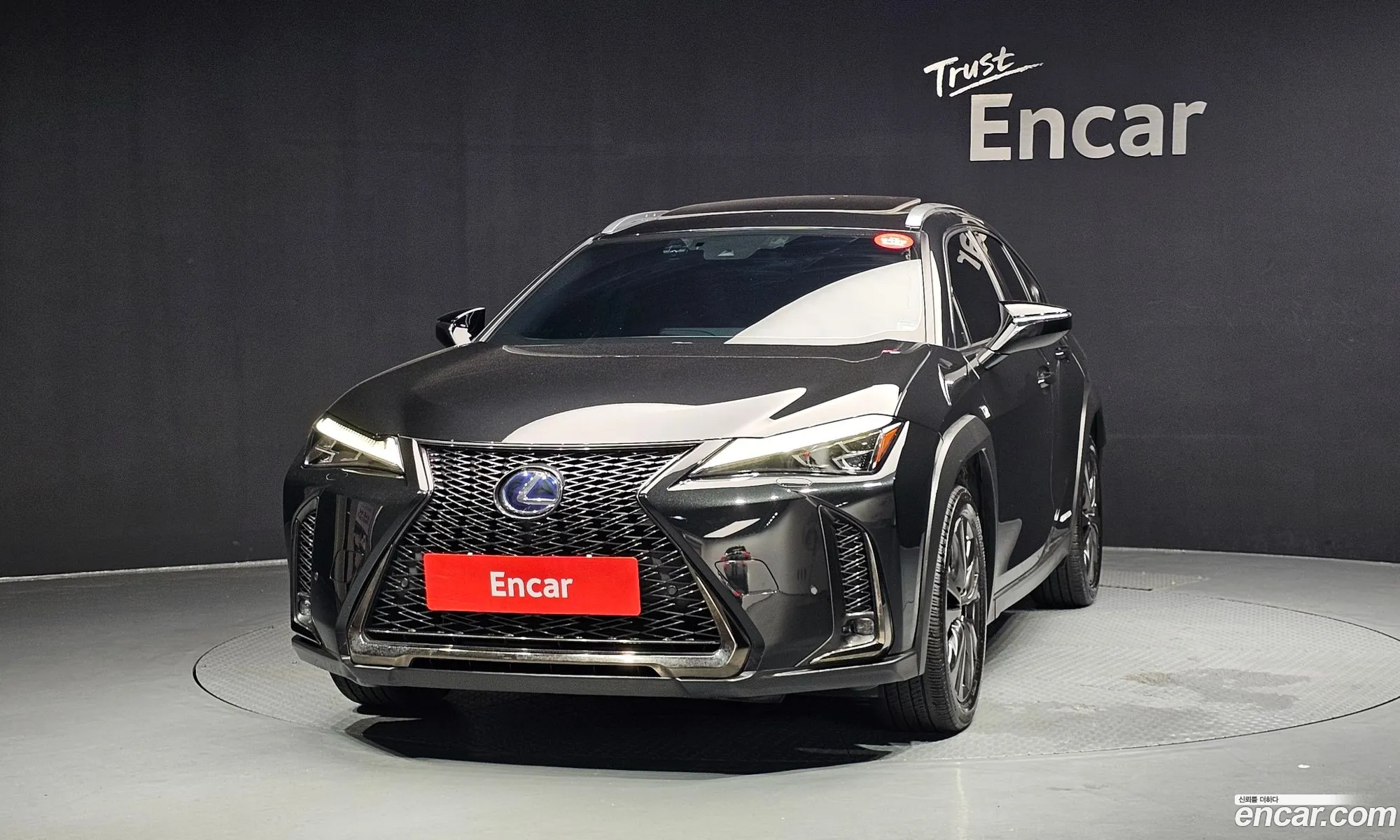 Lexus UX250h