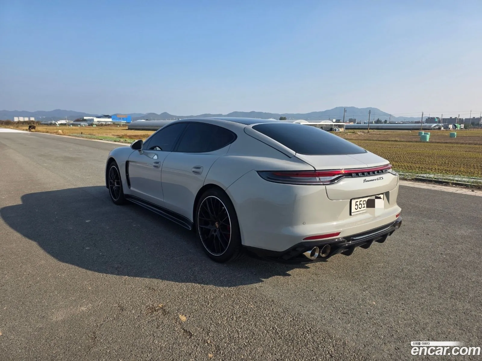 Porsche Panamera 2010 — 17