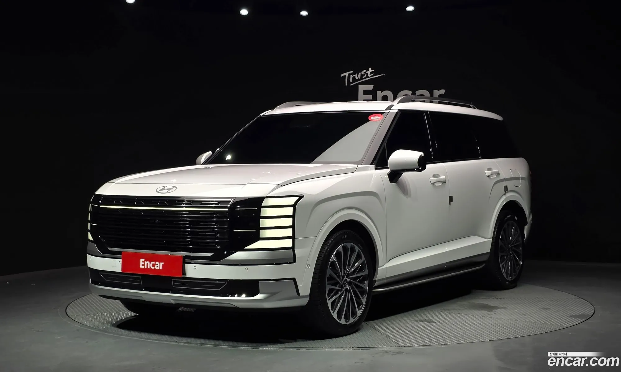 Hyundai Palisade 2025 — 25