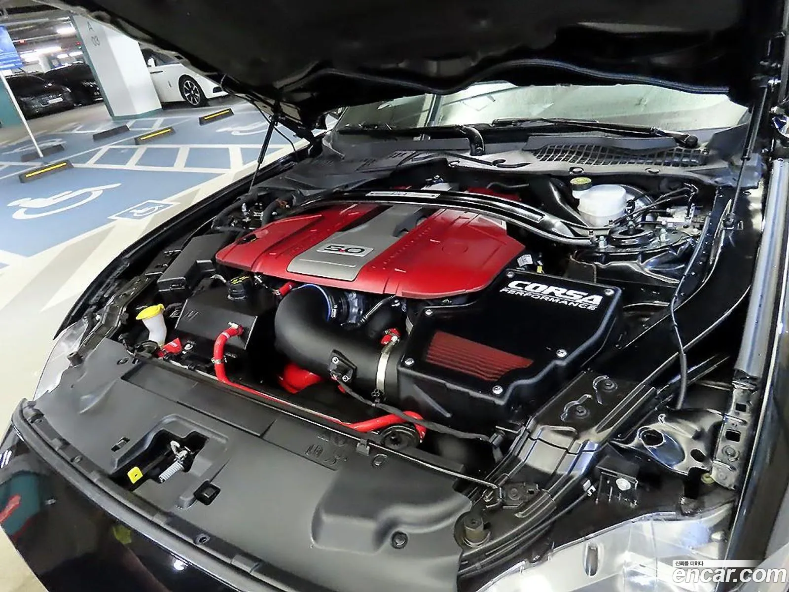 Ford Mustang 2019 1FATP8FF — 10