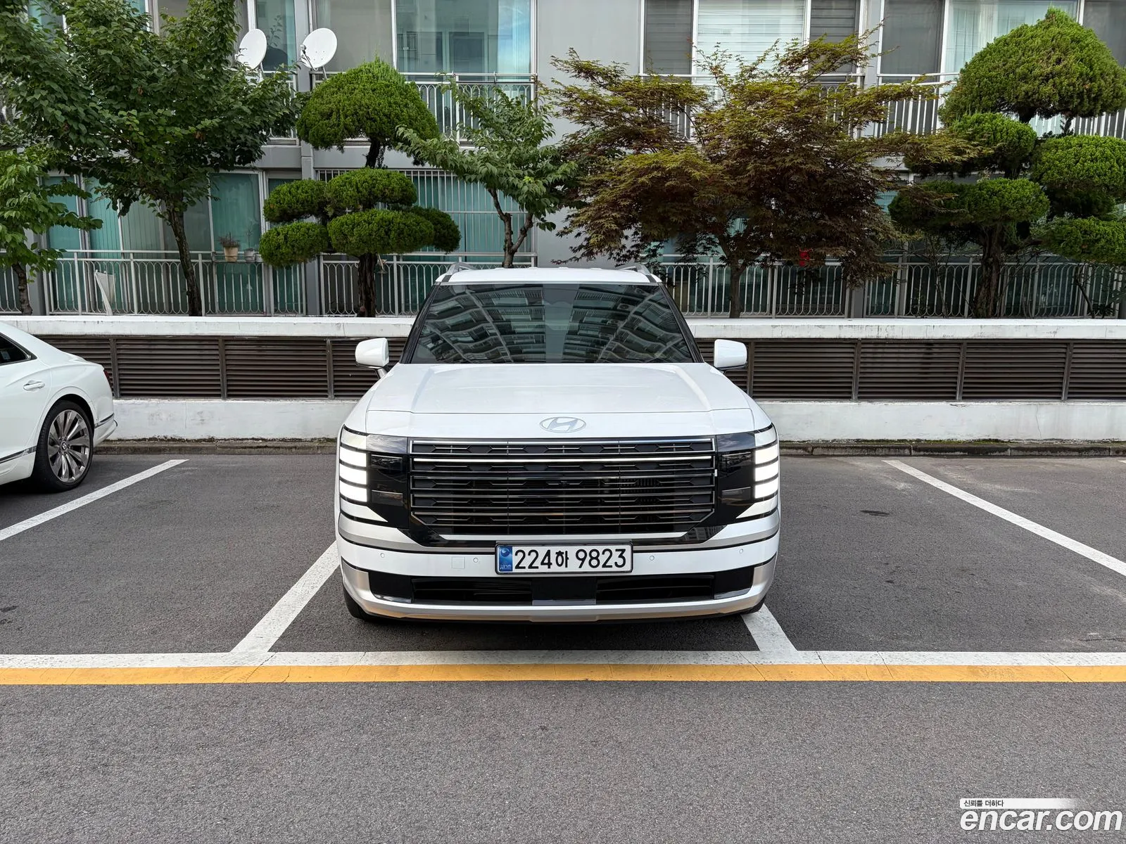 Hyundai Palisade 2025 — 2