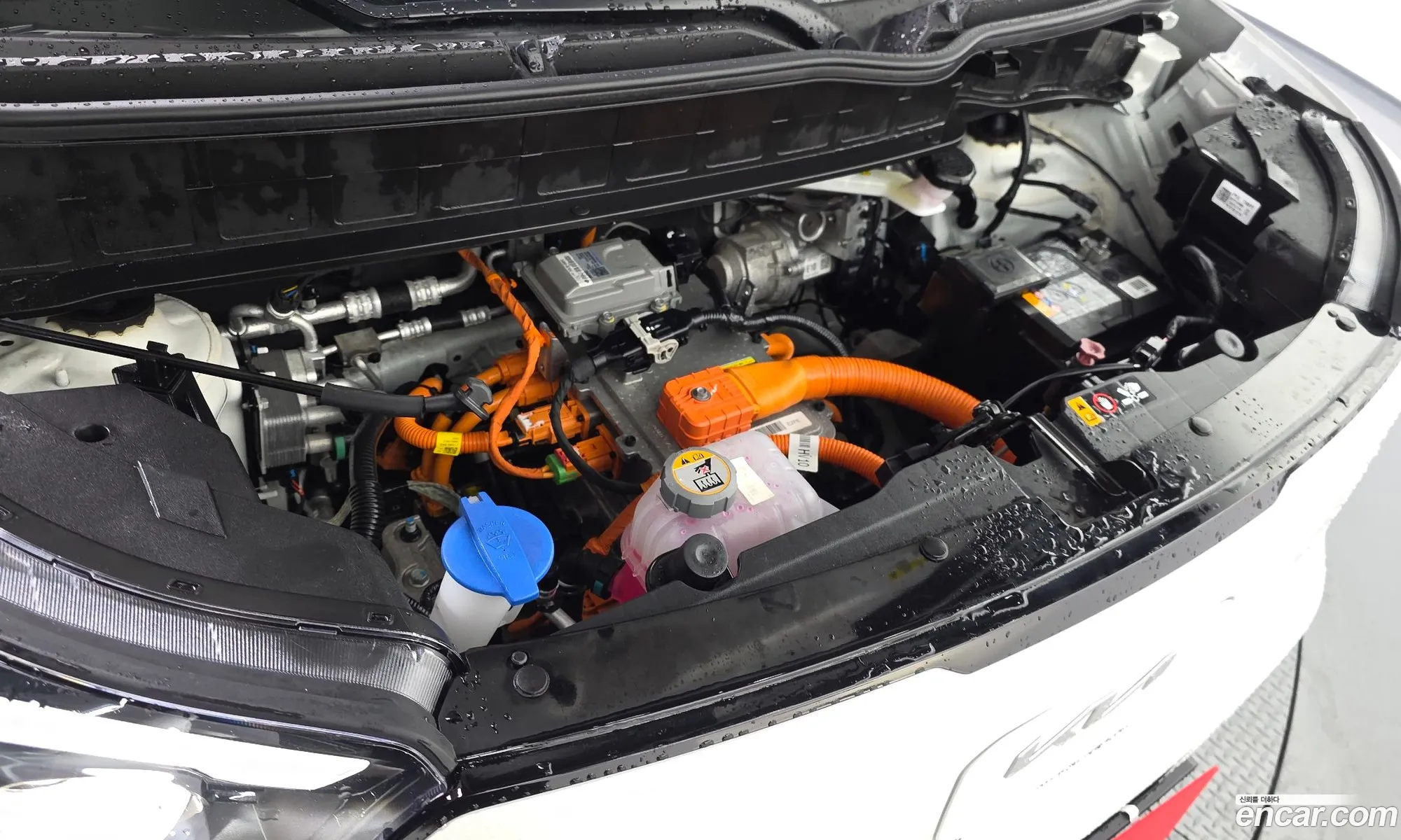 Kia Kia Ray EV 2025 — 8