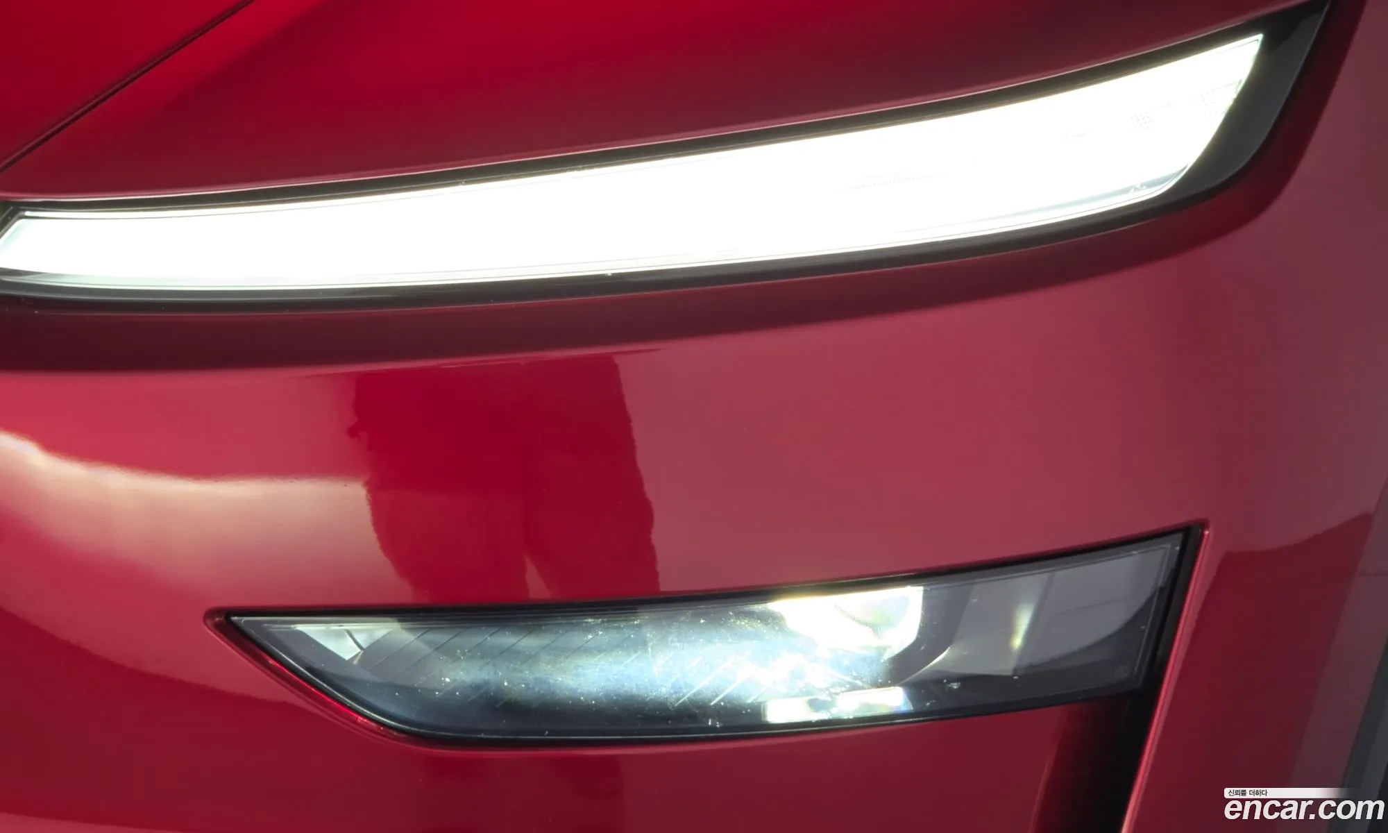 Tesla Model Y 2025 LRWYGCEK4SC202168 — 13