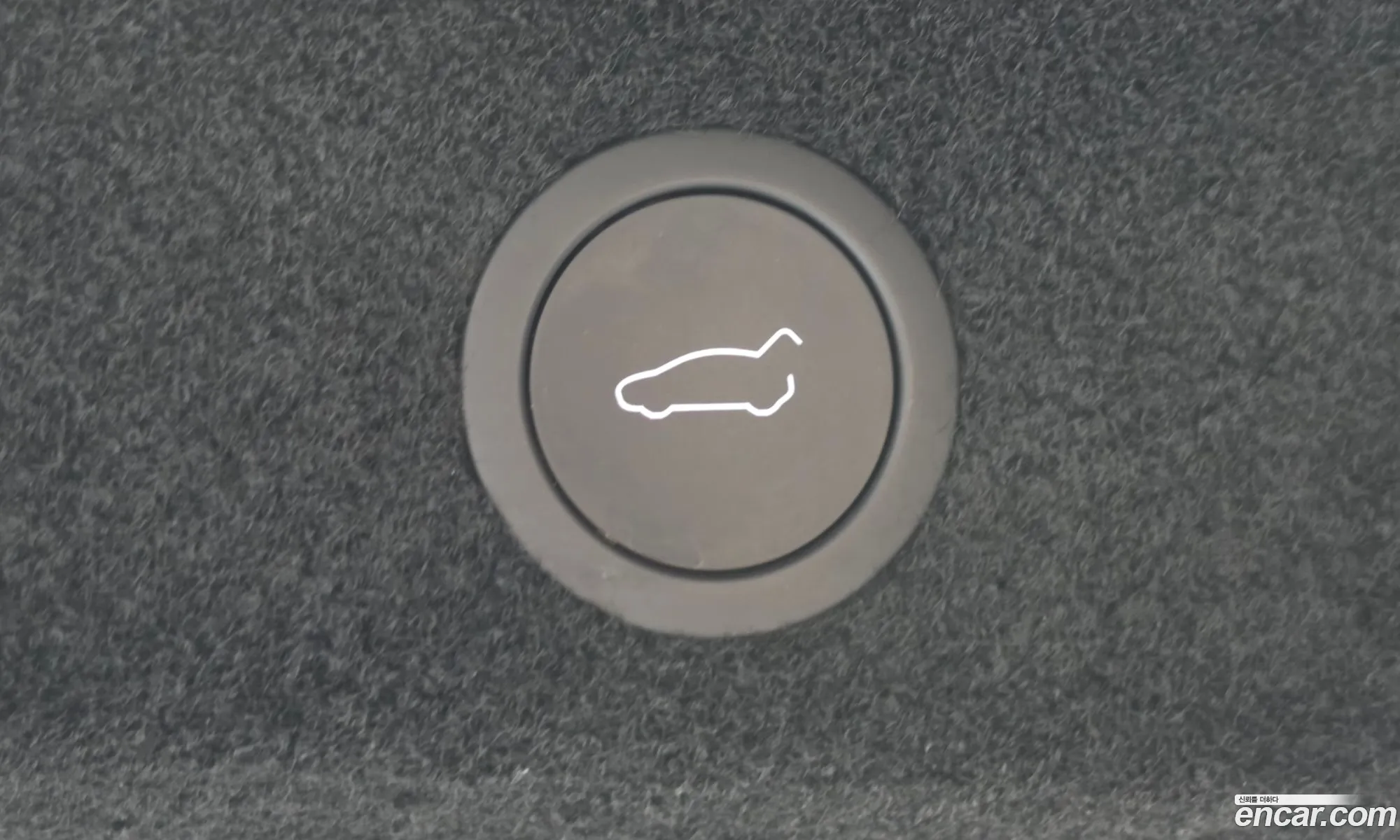 Tesla Model Y 2025 LRWYGCEK4SC202168 — 6