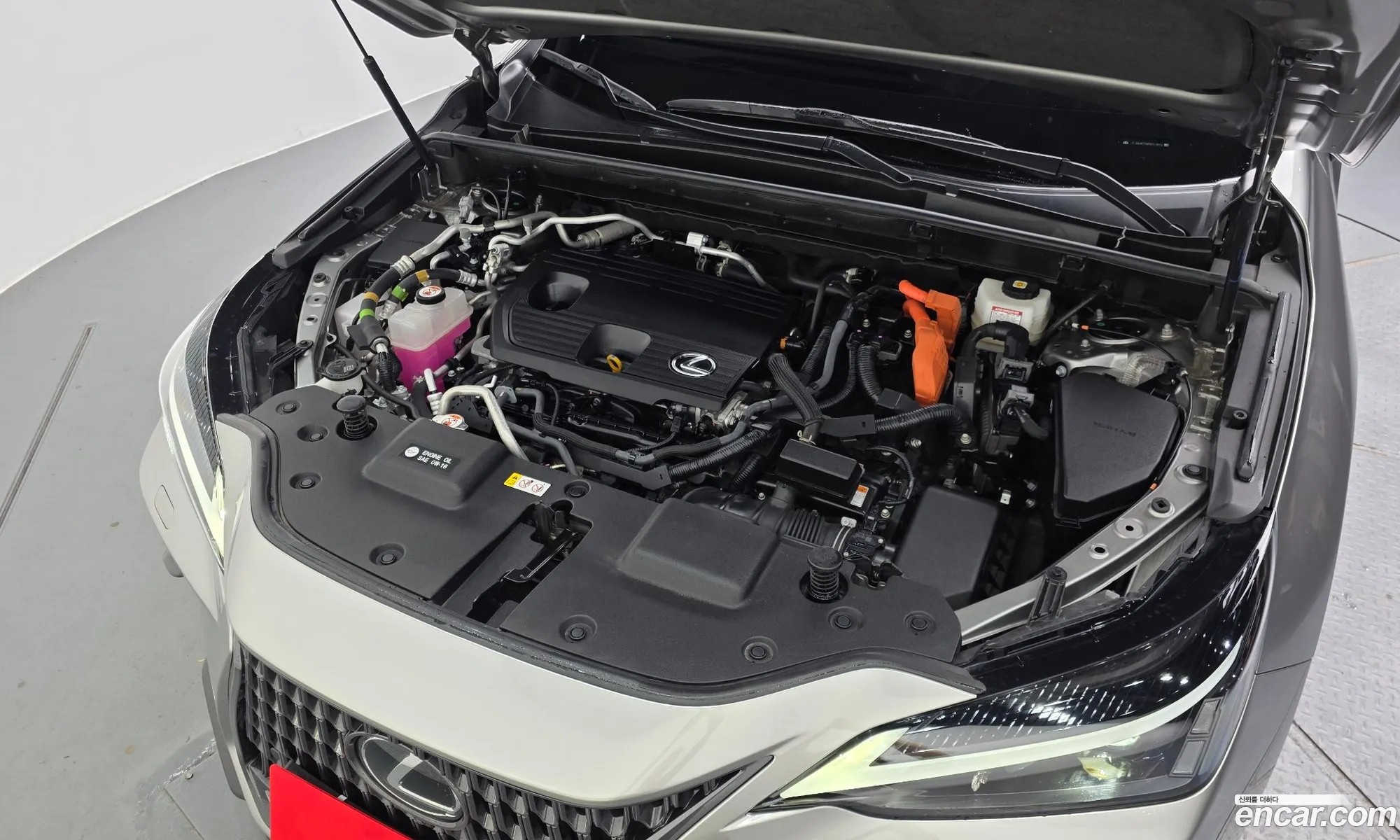 Lexus NX450h+ 2023 — 6
