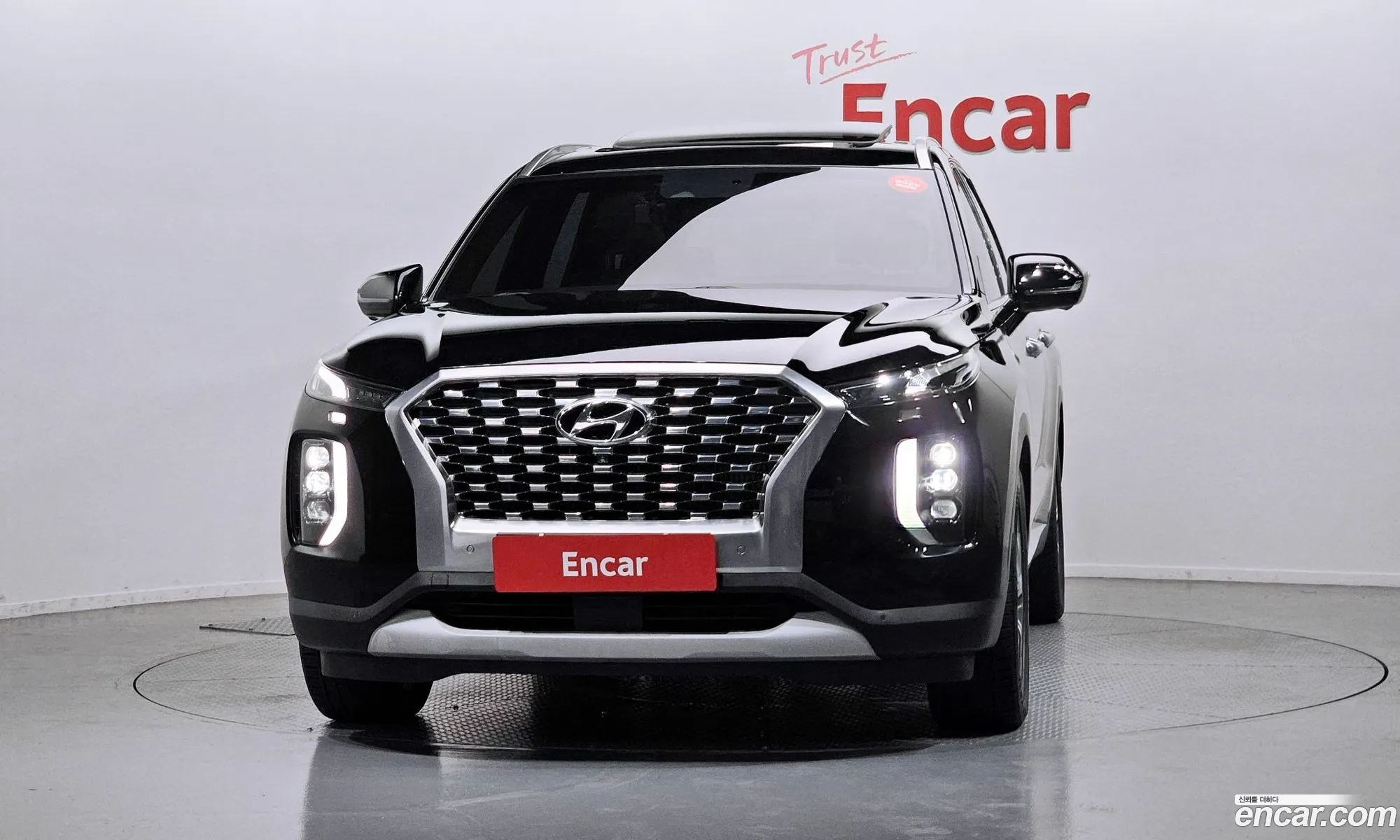 Hyundai Palisade 2020 — 13