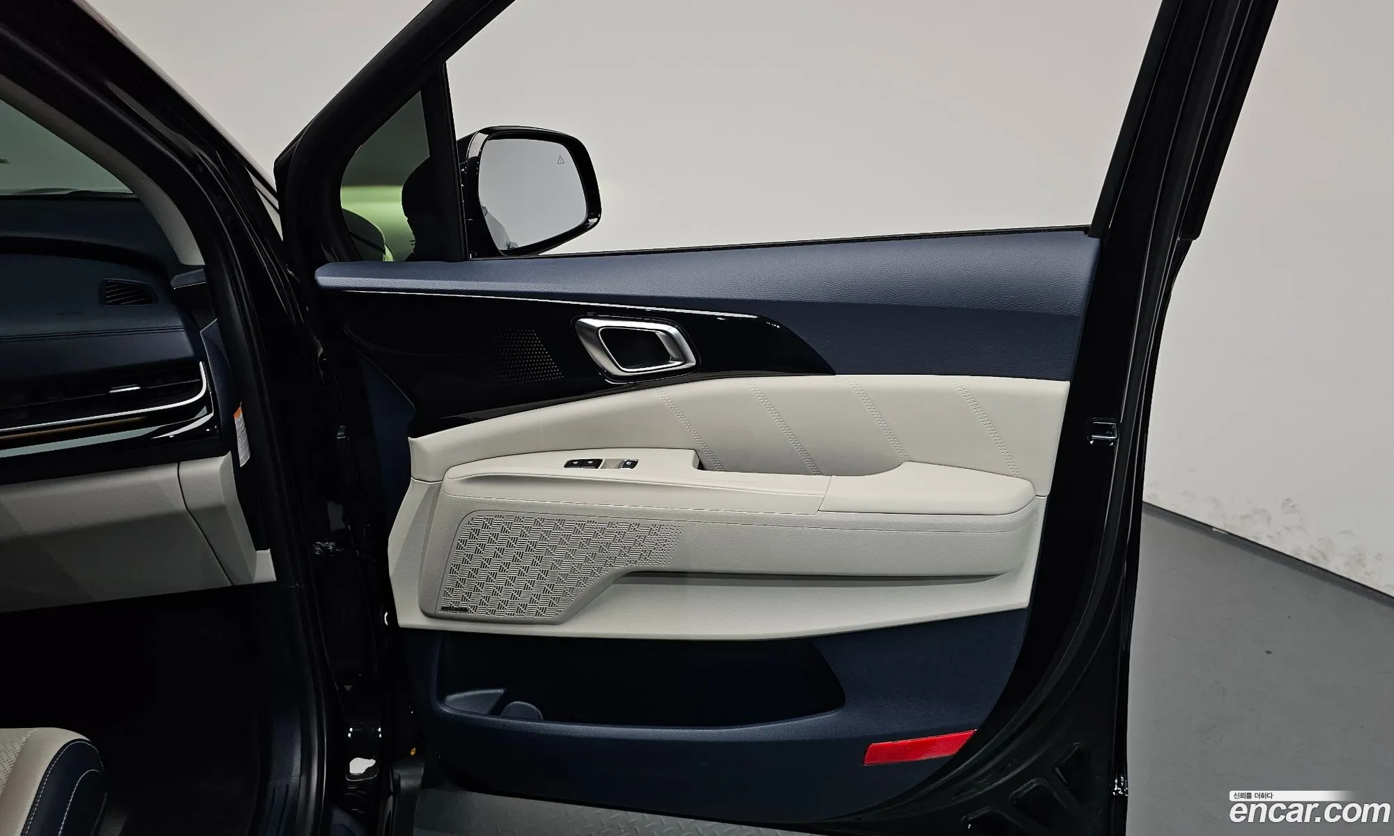 Kia Carnival 2025 — 31