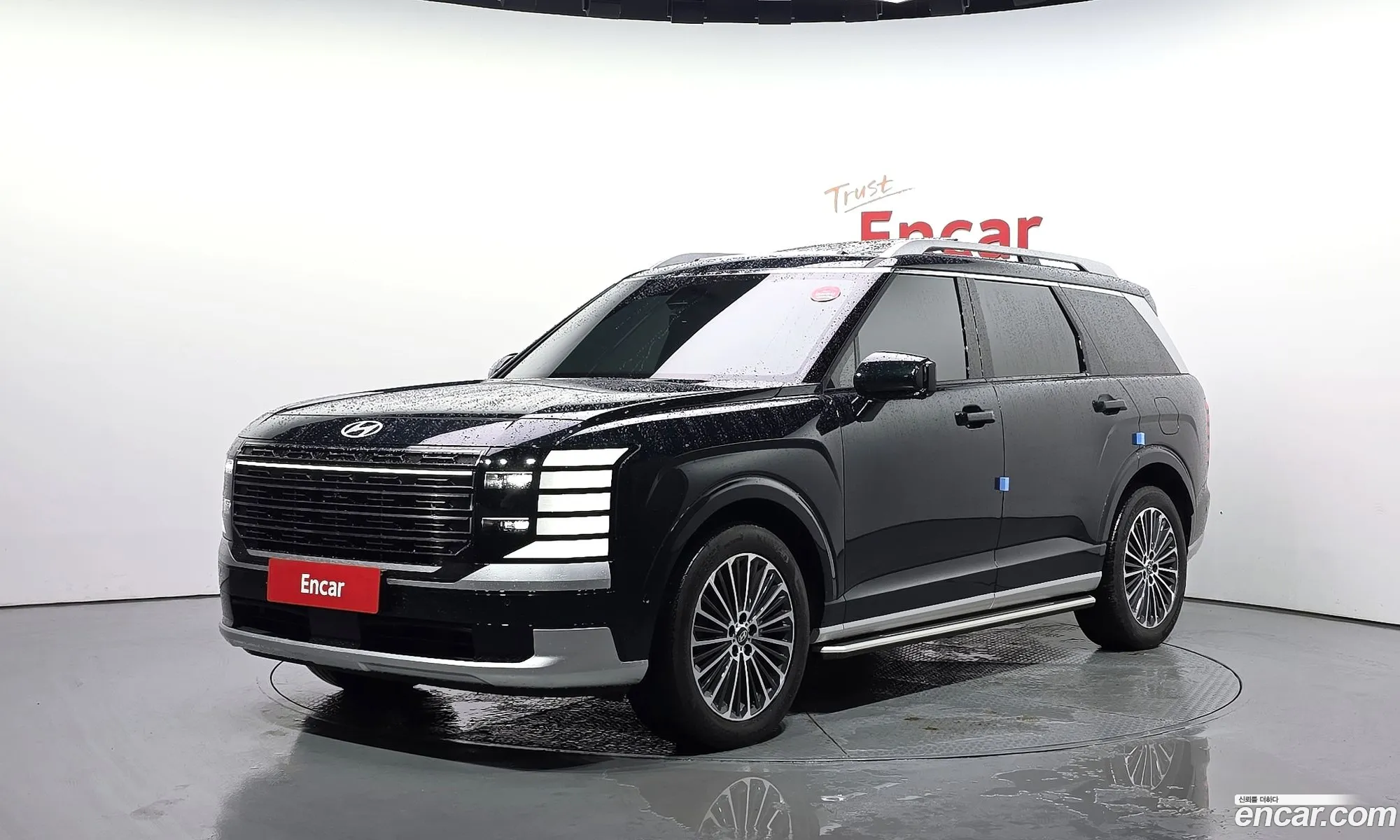 Hyundai Palisade 2025 — 12