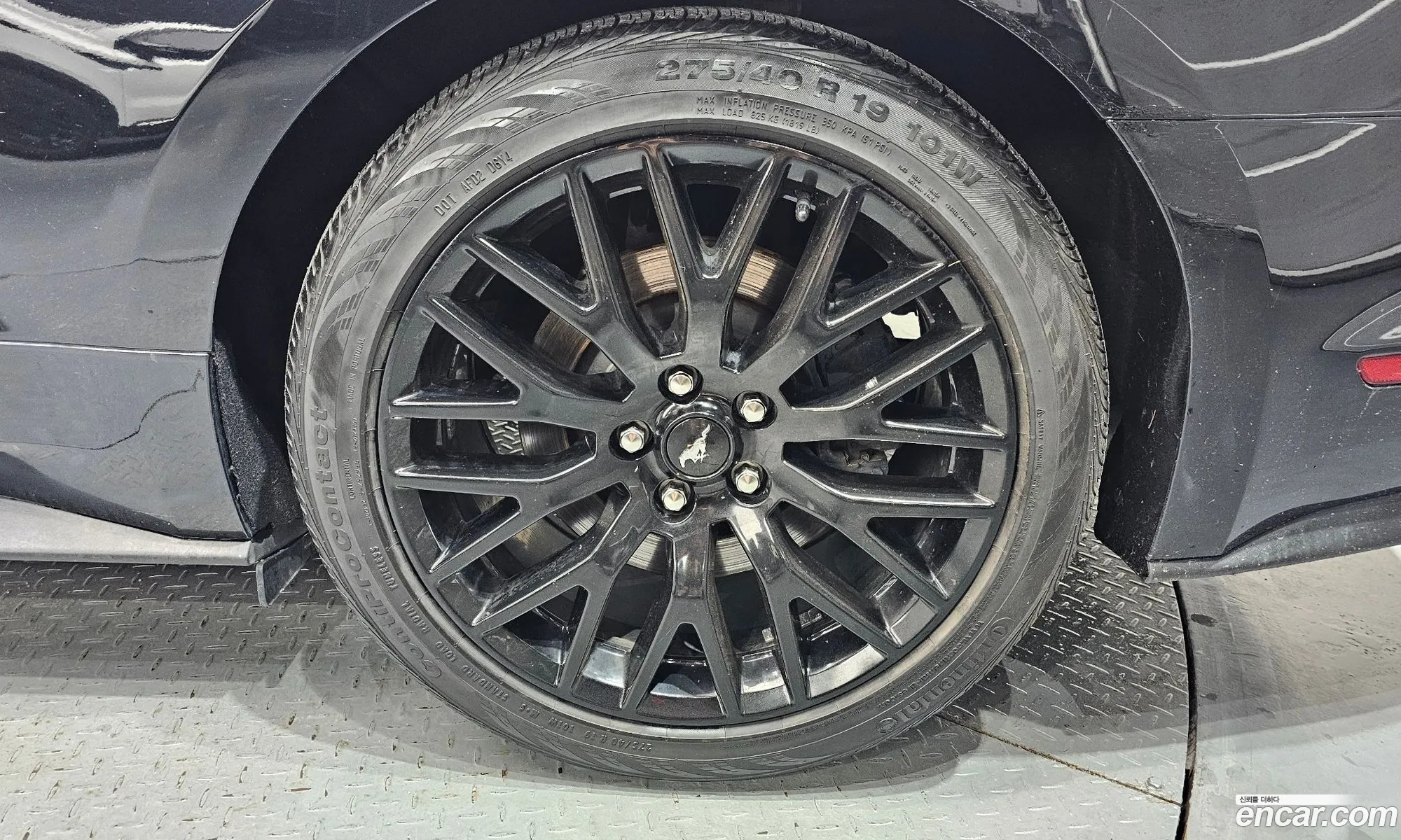 Ford Mustang 2019 1FA6P8CF111111111 — 16
