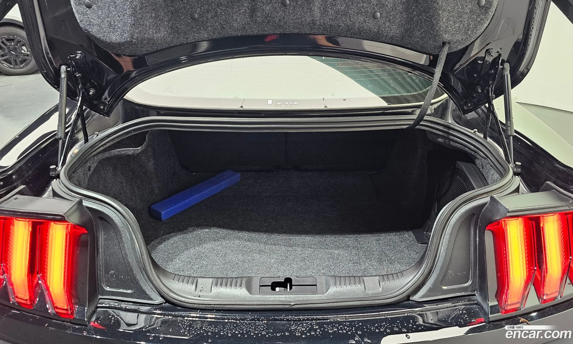 Ford Mustang 2019 1FA6P8CF111111111 — 24