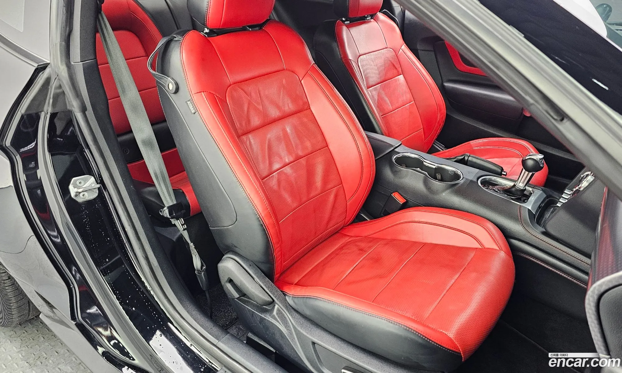 Ford Mustang 2019 1FA6P8CF111111111 — 25