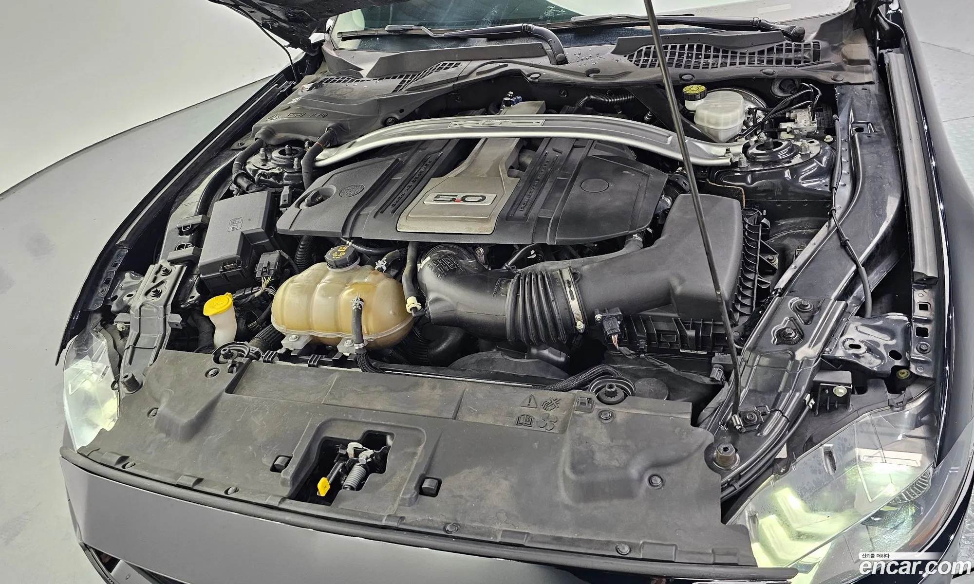 Ford Mustang 2019 1FA6P8CF111111111 — 29