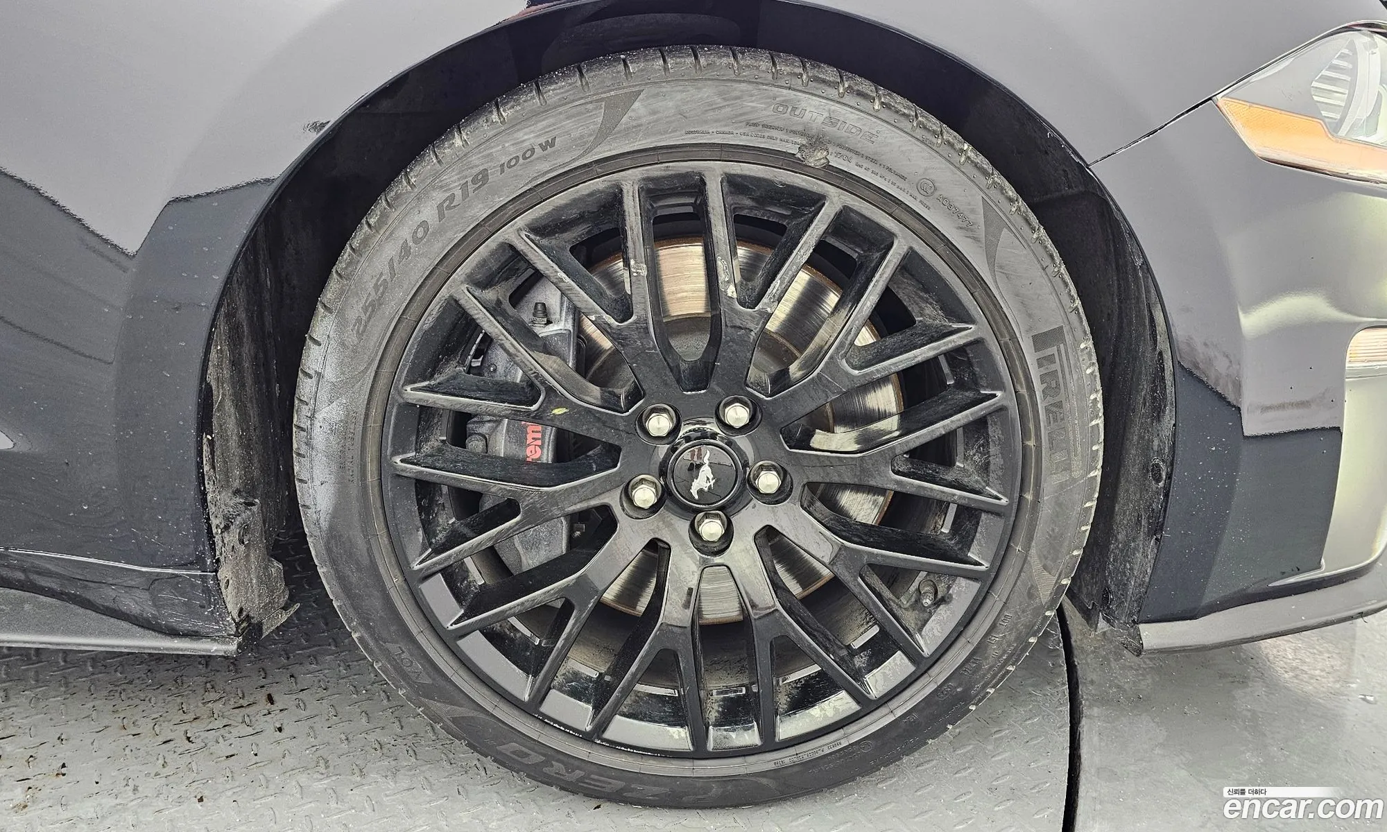 Ford Mustang 2019 1FA6P8CF111111111 — 13