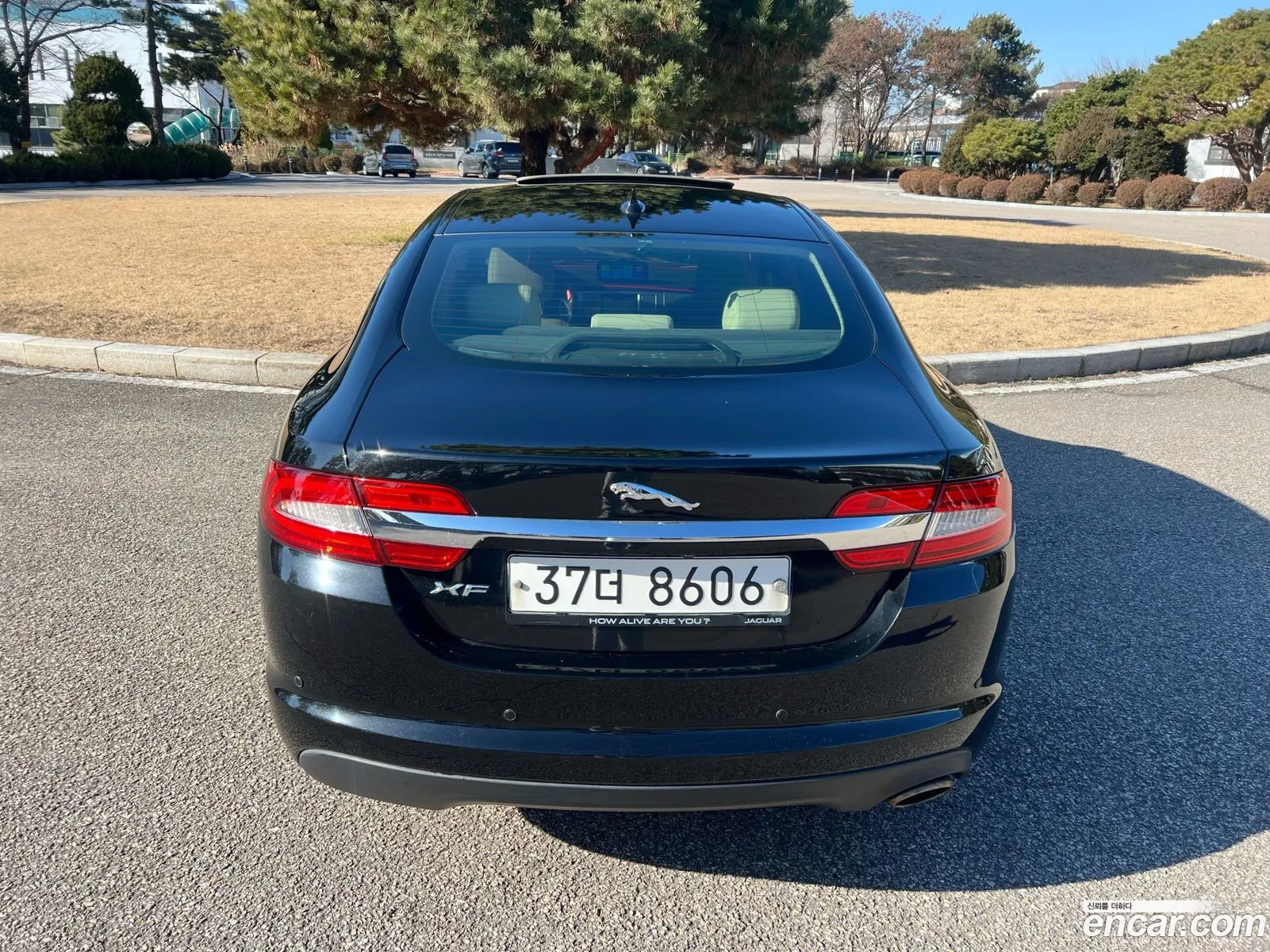 Jaguar XF 2014 — 7