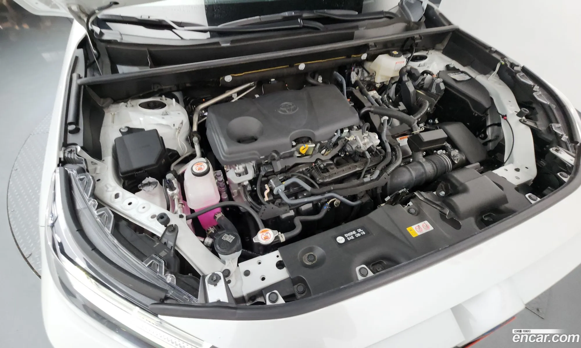 Toyota RAV4 2024 JTMX2RFV0RD169117 — 34