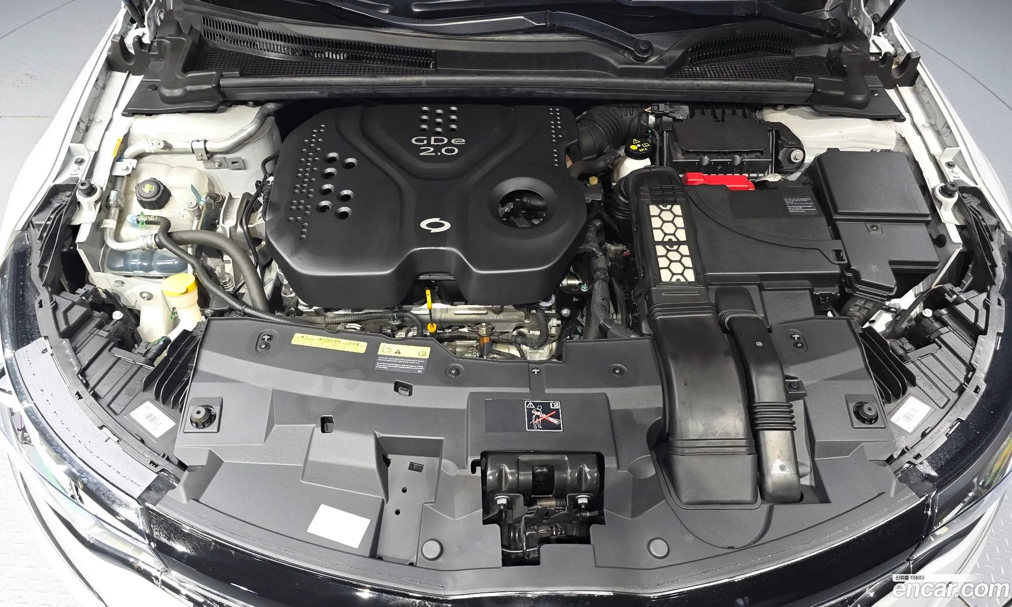 Renault Korea (Samsung) SM6 2018 — 27