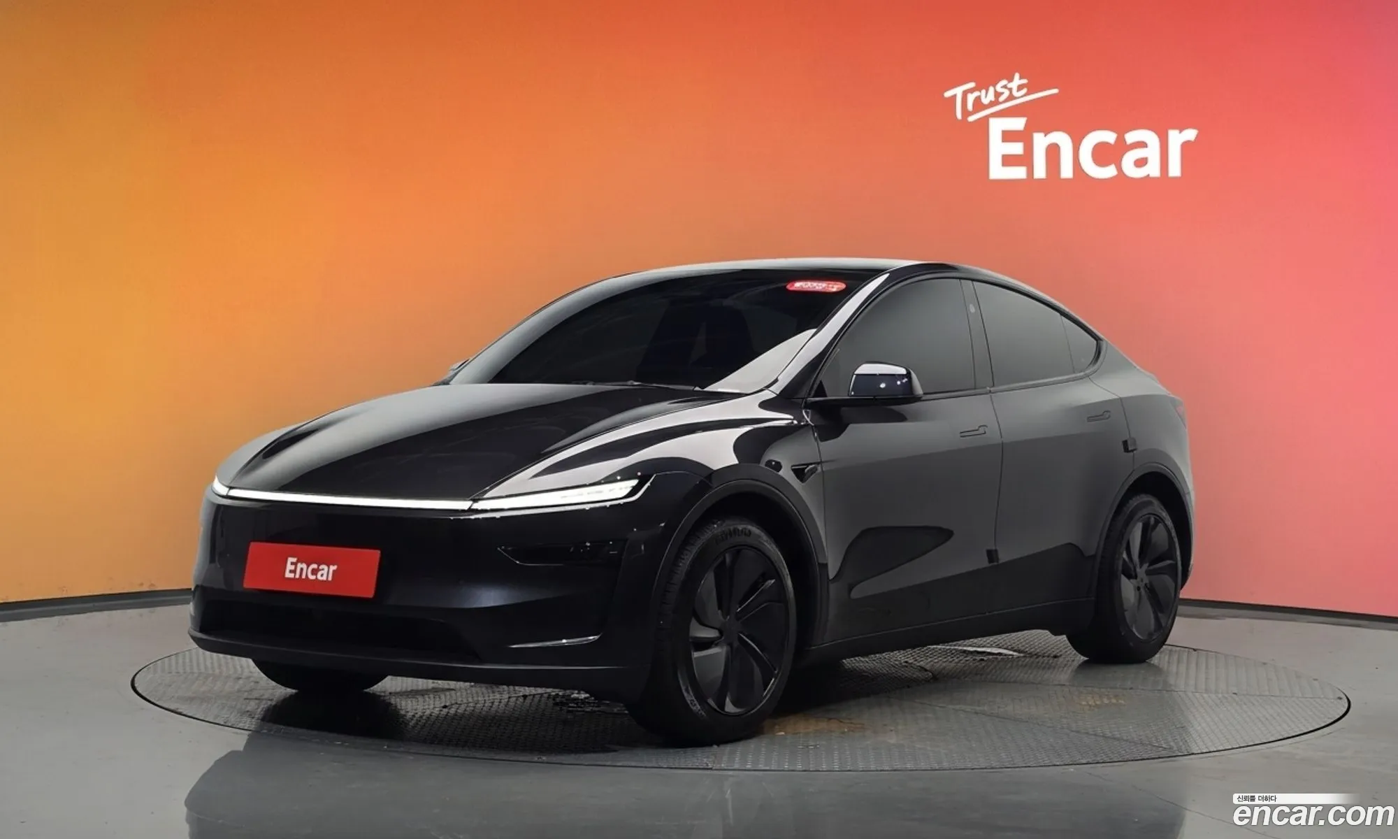 Tesla Model Y 2025 LRWYGCEK5SC299896 — 10