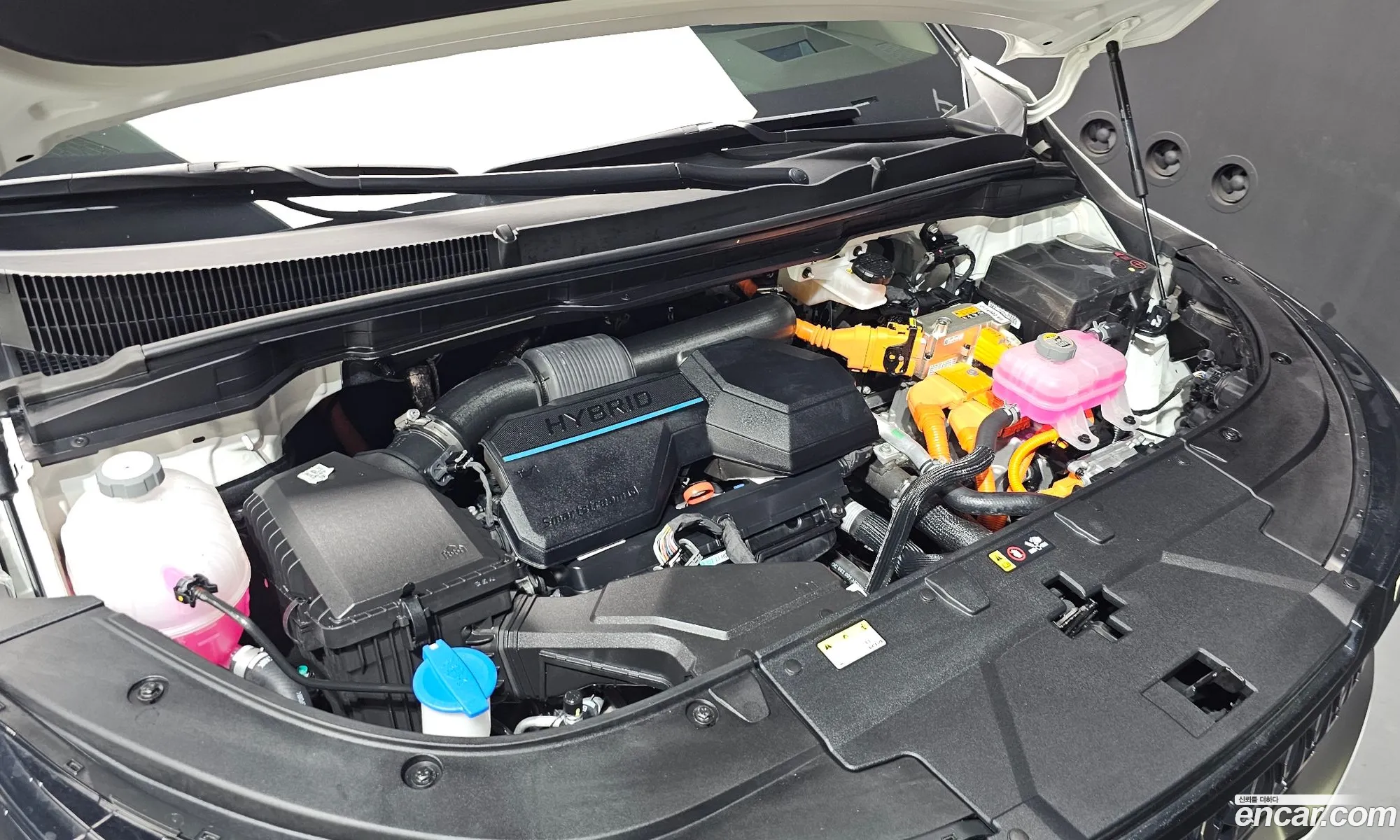 Kia Carnival 2024 — 17