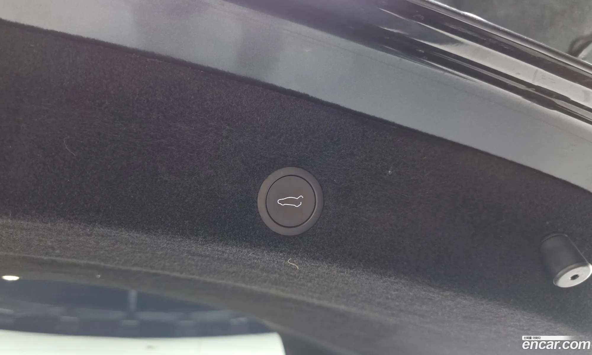 Tesla Model Y 2025 LRWYGCFJ1SC185643 — 29