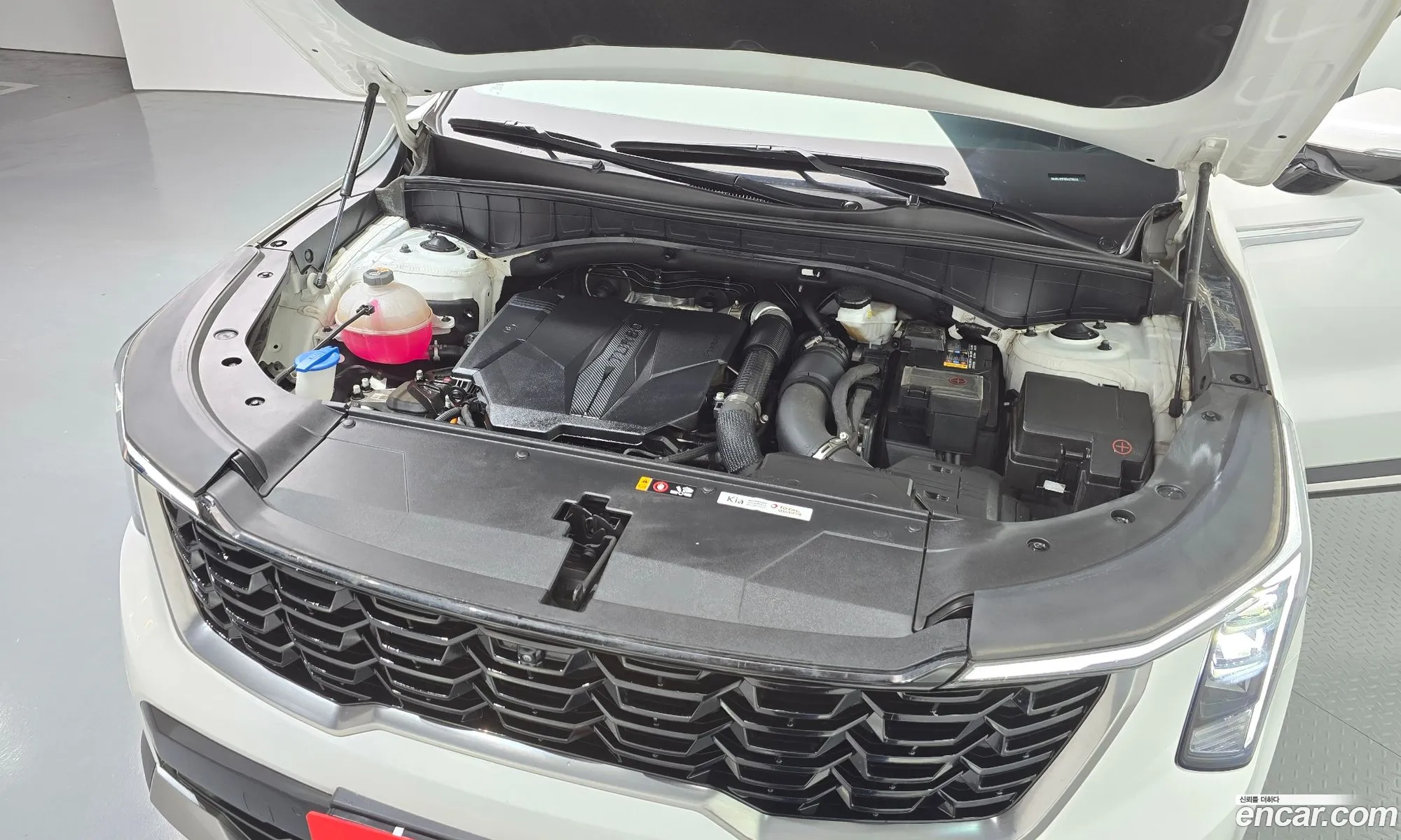 Kia Sorento 2024 — 2