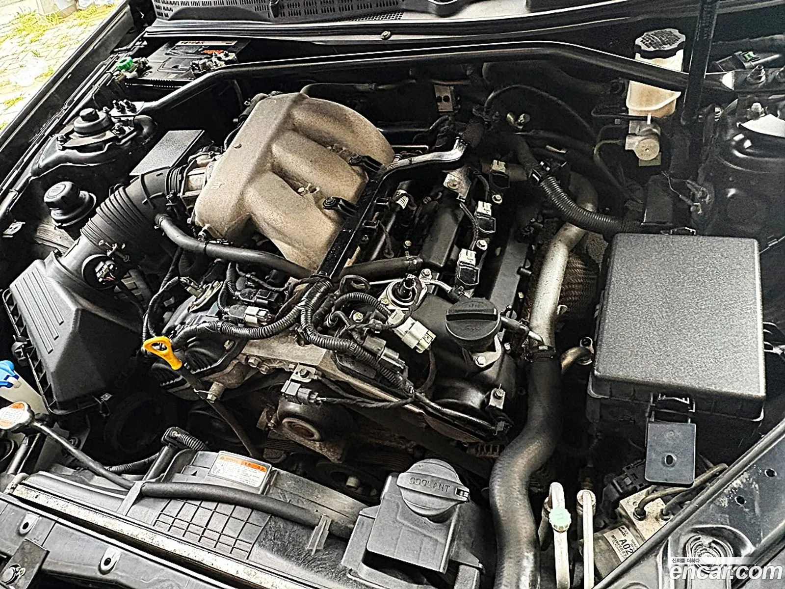 Hyundai Genesis Coupe 2010 — 3