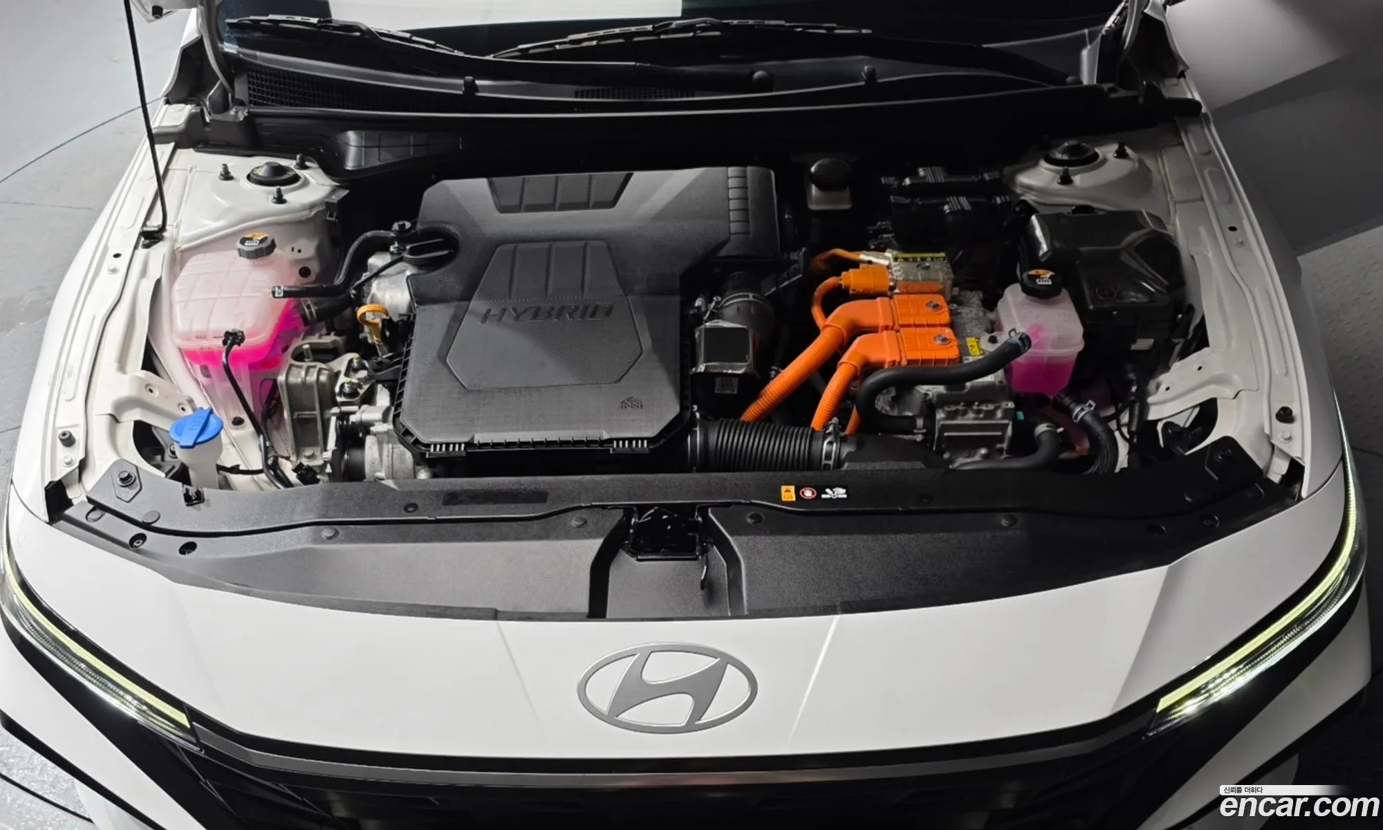 Hyundai Elantra Hybrid 2023 — 5