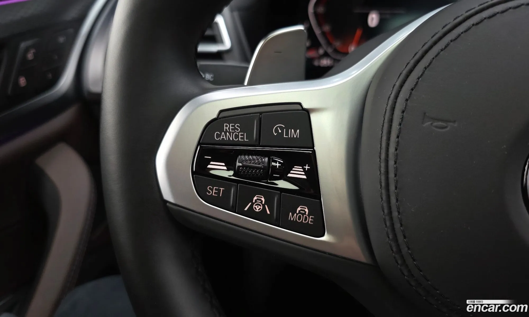 BMW X4 2025 WBA31CA02S9Y69169 — 4