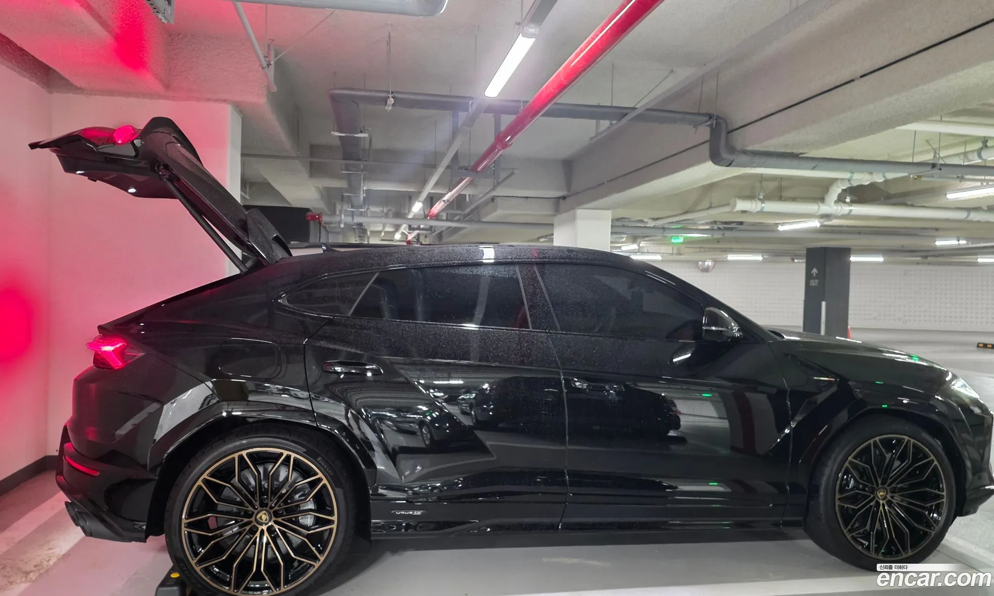Lamborghini Urus 2026 — 4