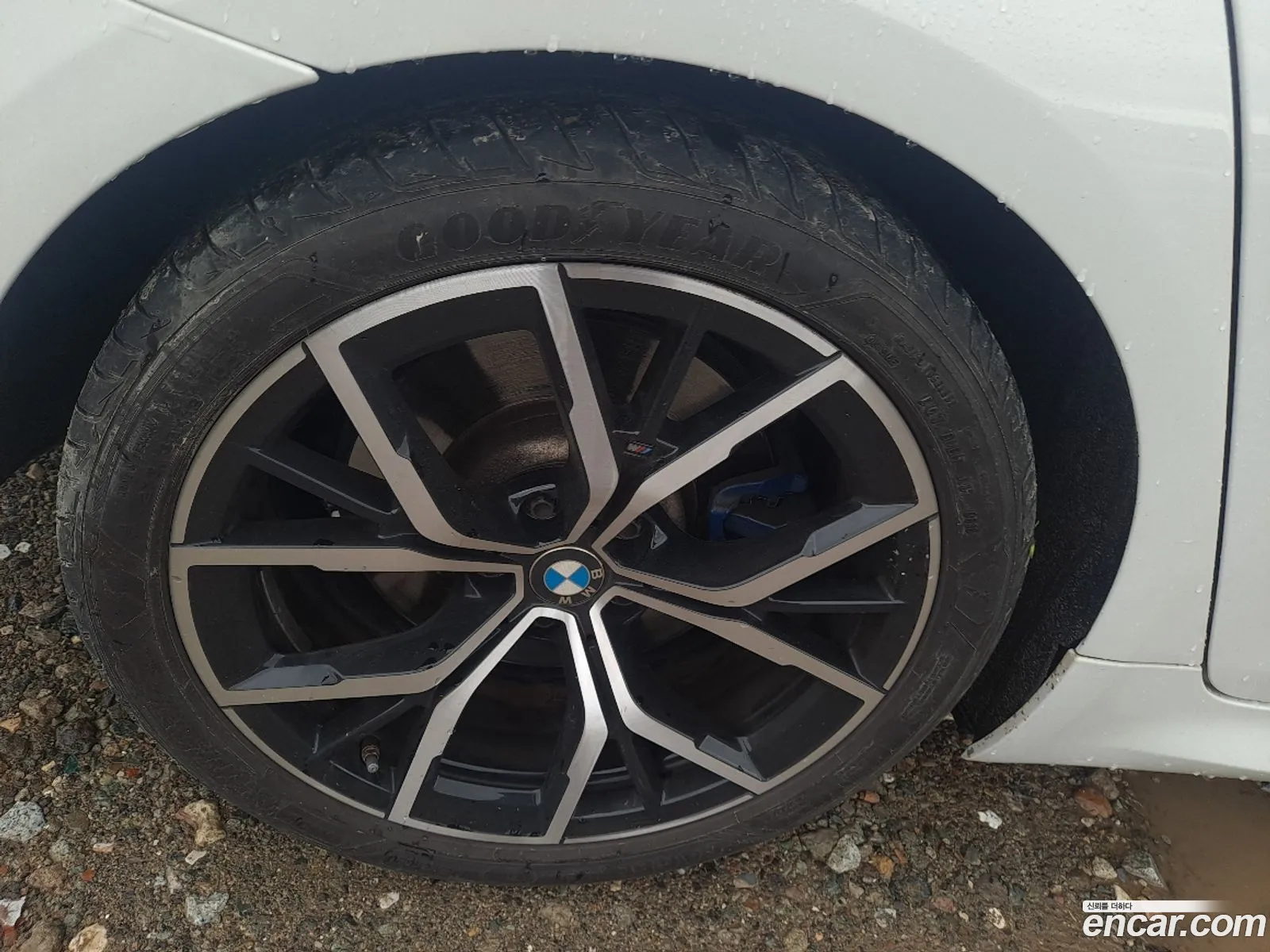 BMW 5 Series 2023 — 2