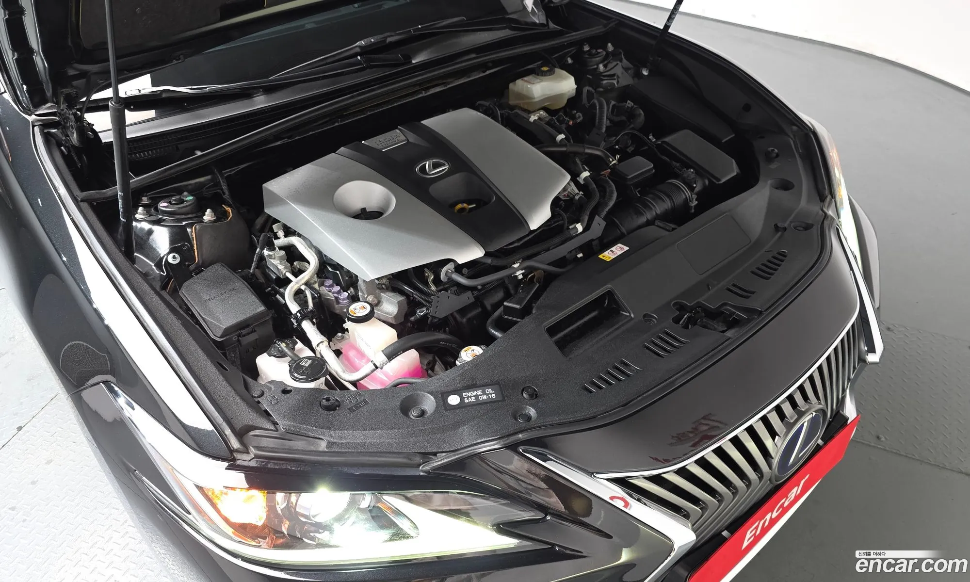 Lexus ES300h 7th Gen 2019 — 19