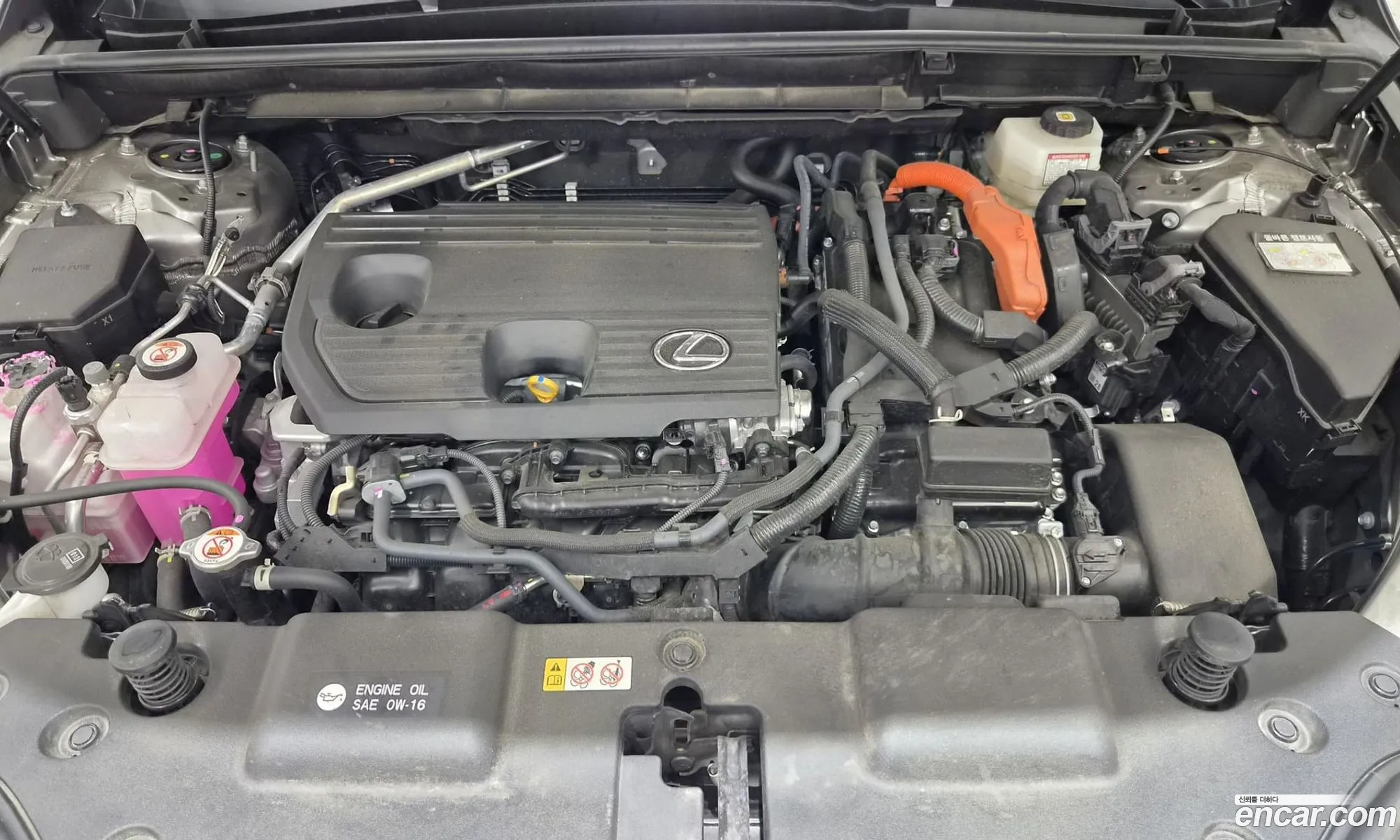 Lexus NX350h 2025 — 17