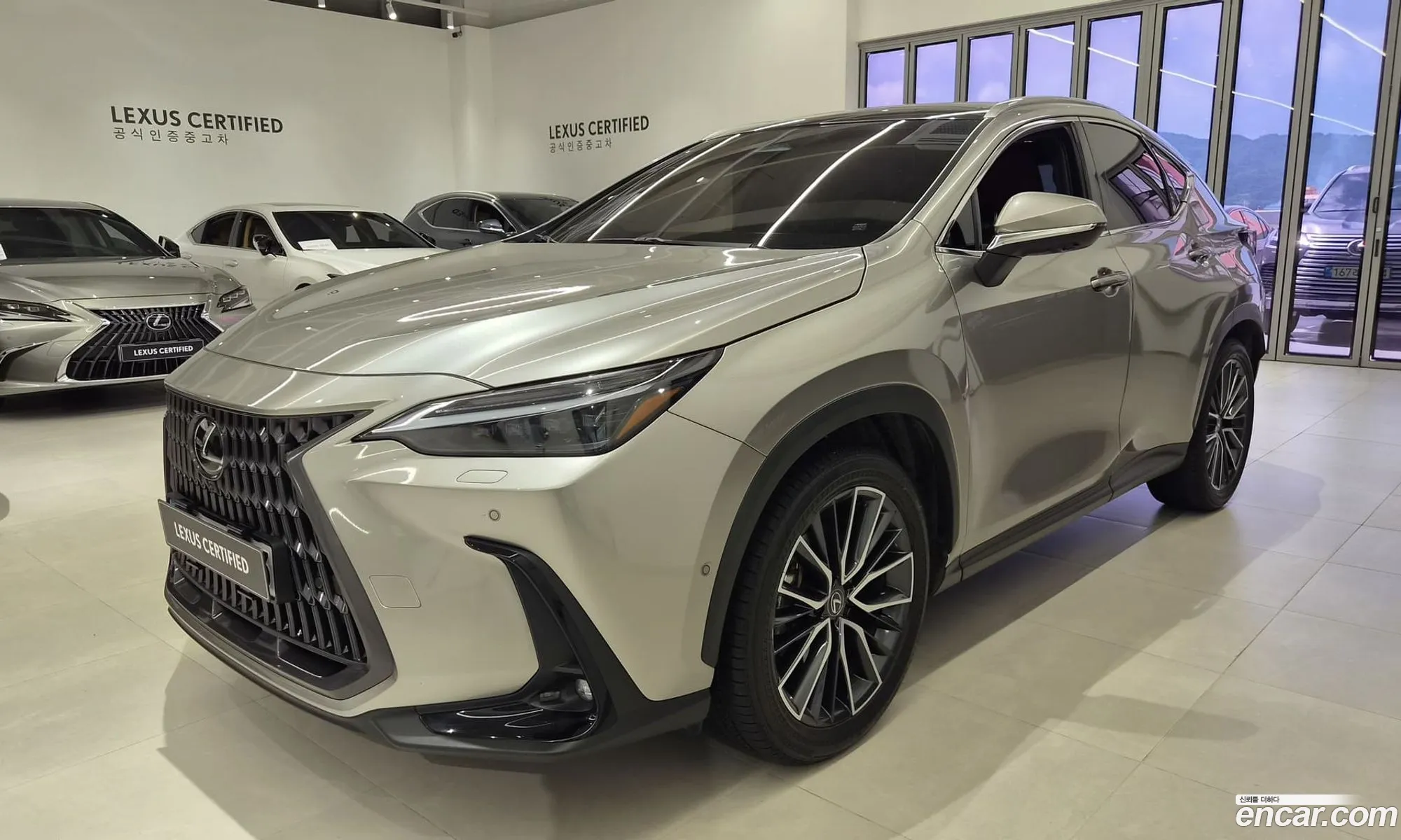 Lexus NX350h 2025 — 18