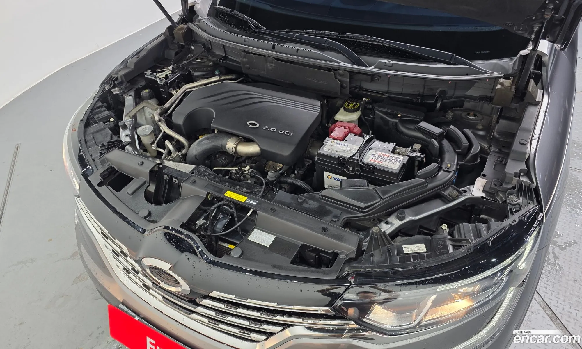 Renault Korea (Samsung) QM6 2017 — 19