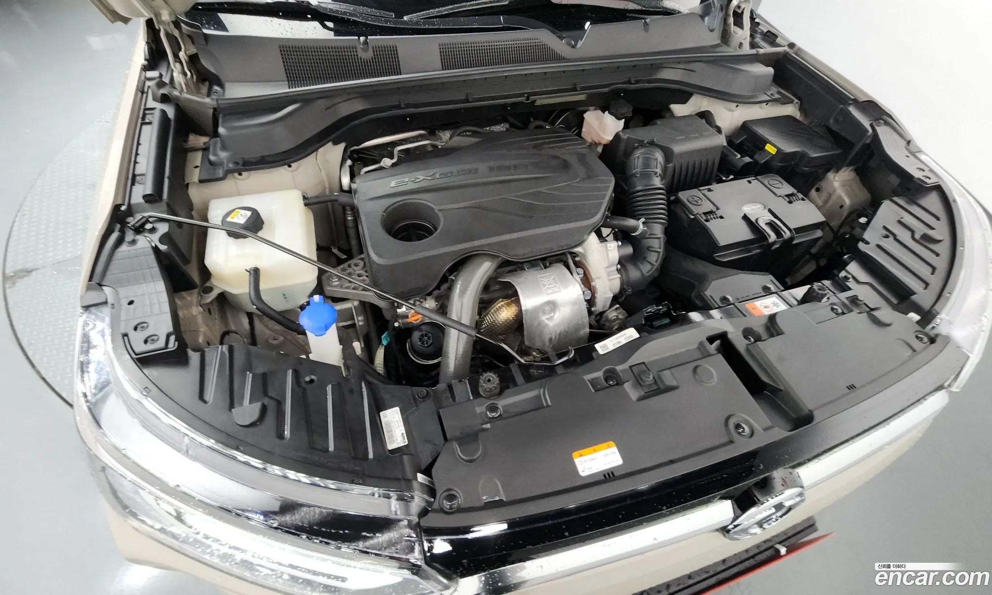 KG Mobility (SsangYong) Beautiful Korando 2024 — 5