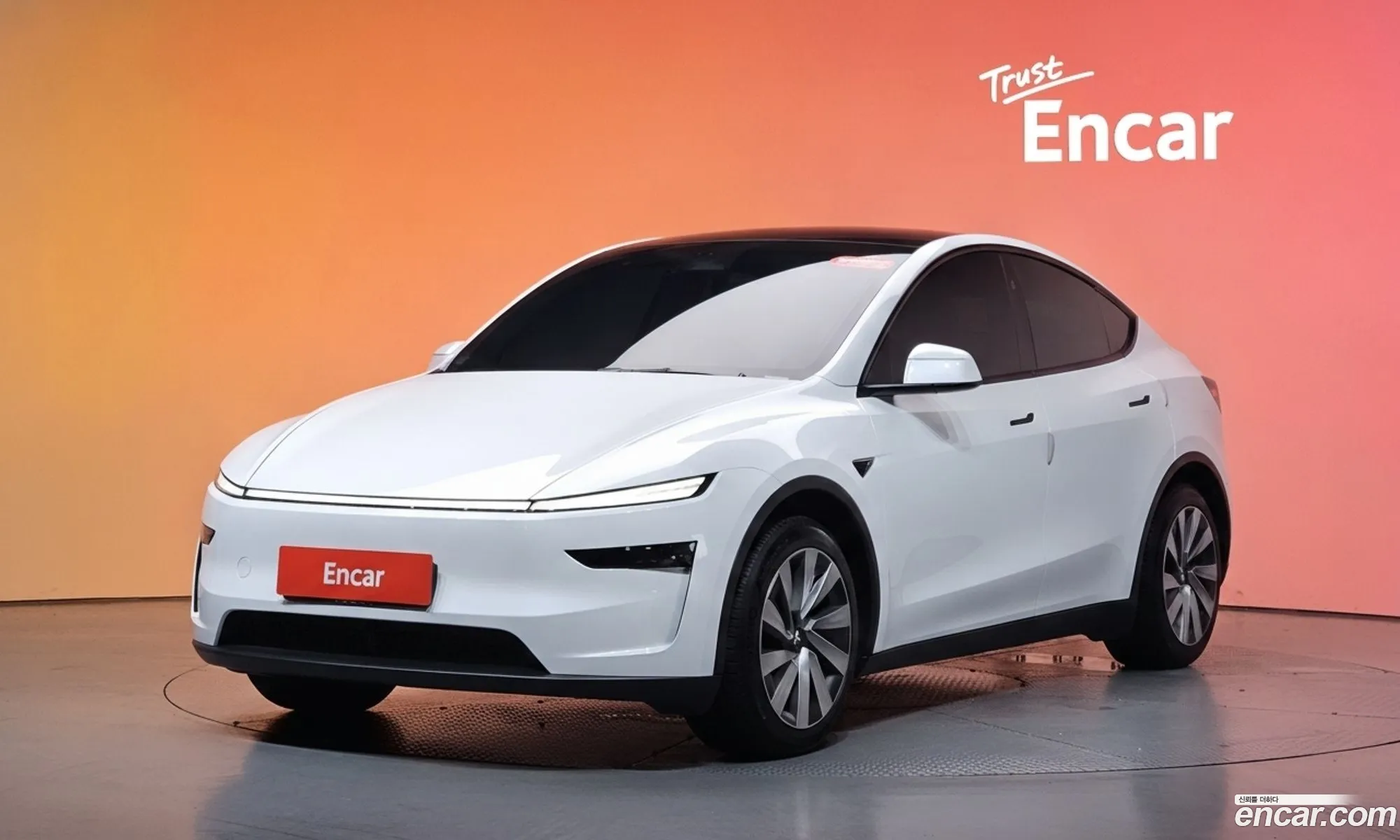 Tesla Model Y 2025 LRWYGCFJ4SC029709 — 28