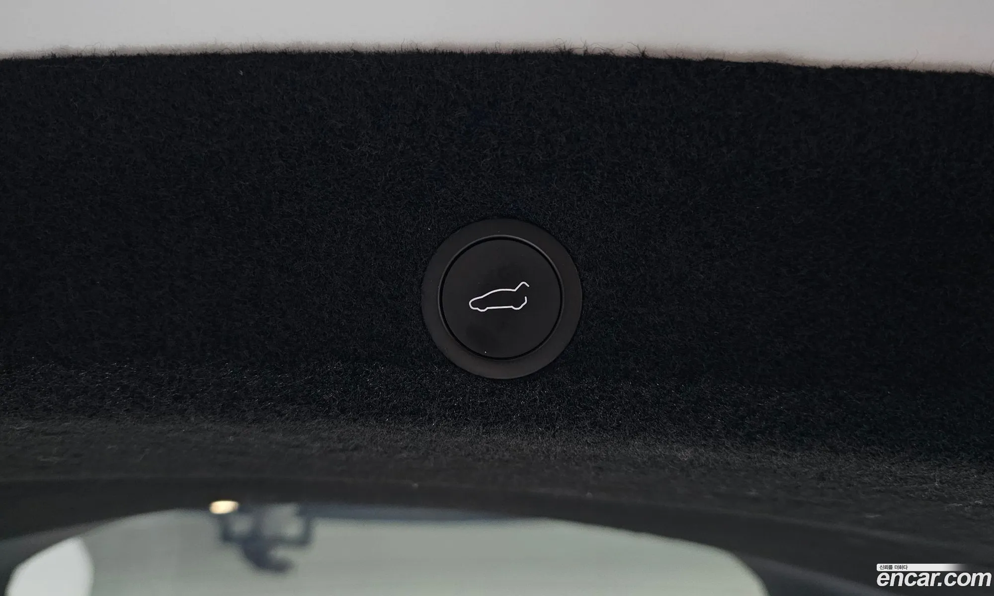 Tesla Model Y 2025 LRWYGCFJ4SC029709 — 8