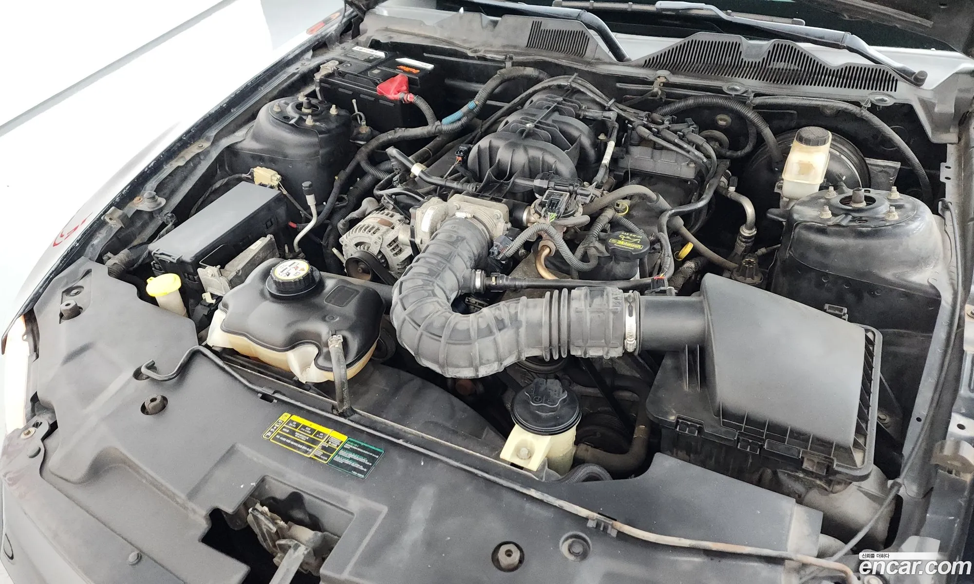 Ford Mustang 2009 1ZVBP8EN5A5110356 — 3