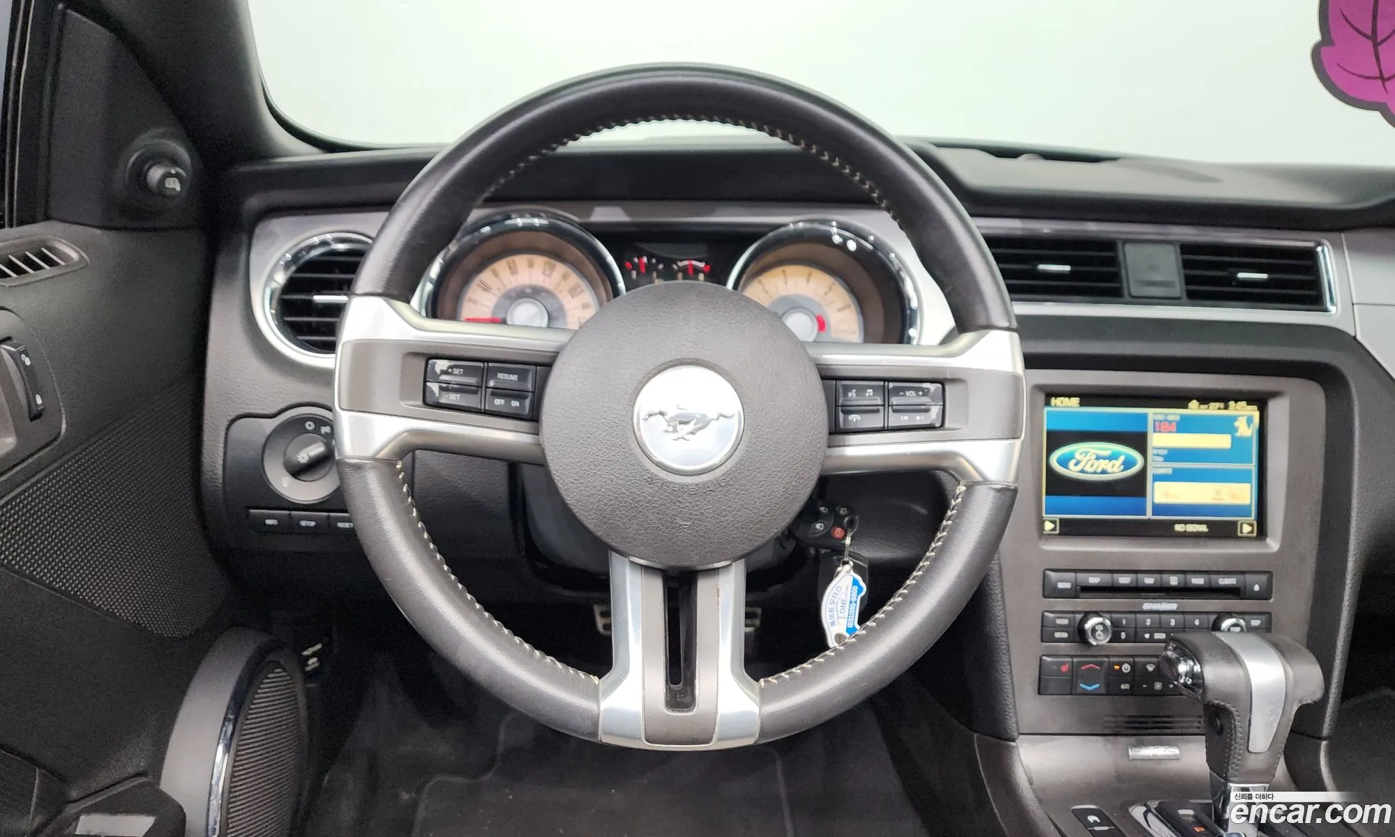 Ford Mustang 2009 1ZVBP8EN5A5110356 — 18