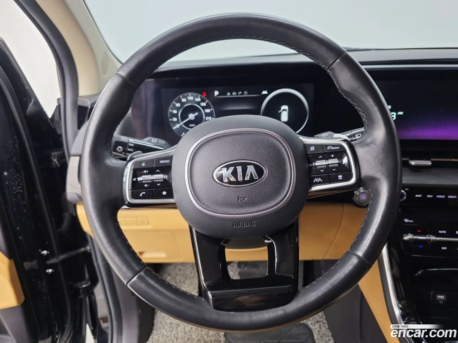 Kia Carnival 2021 — 18