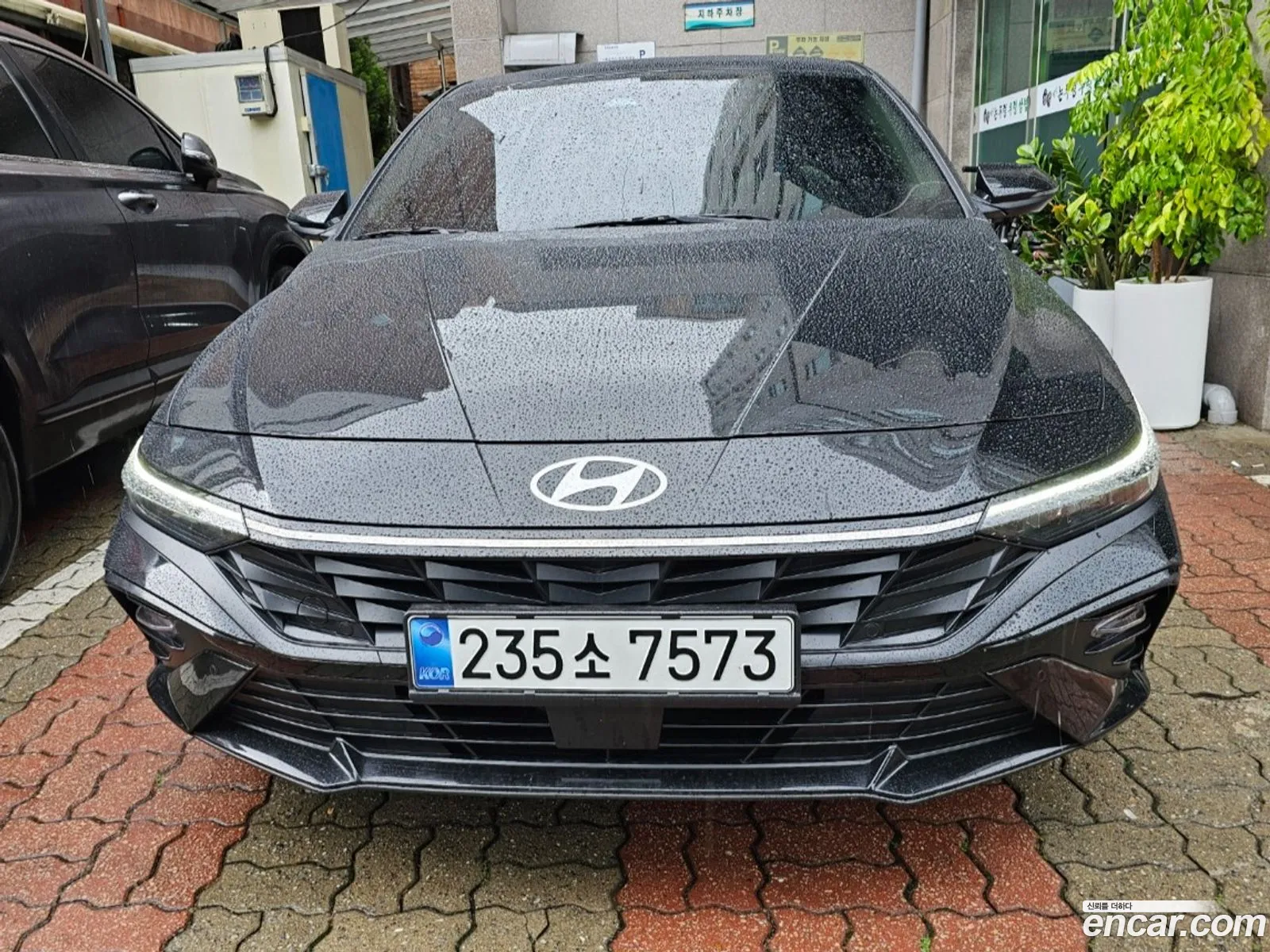 Hyundai Elantra 2025 — 19
