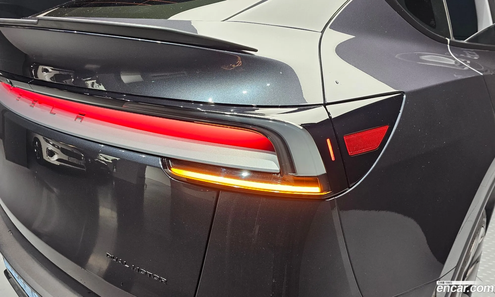 Tesla Model Y 2025 LRWYGCFJ4SC366316 — 11