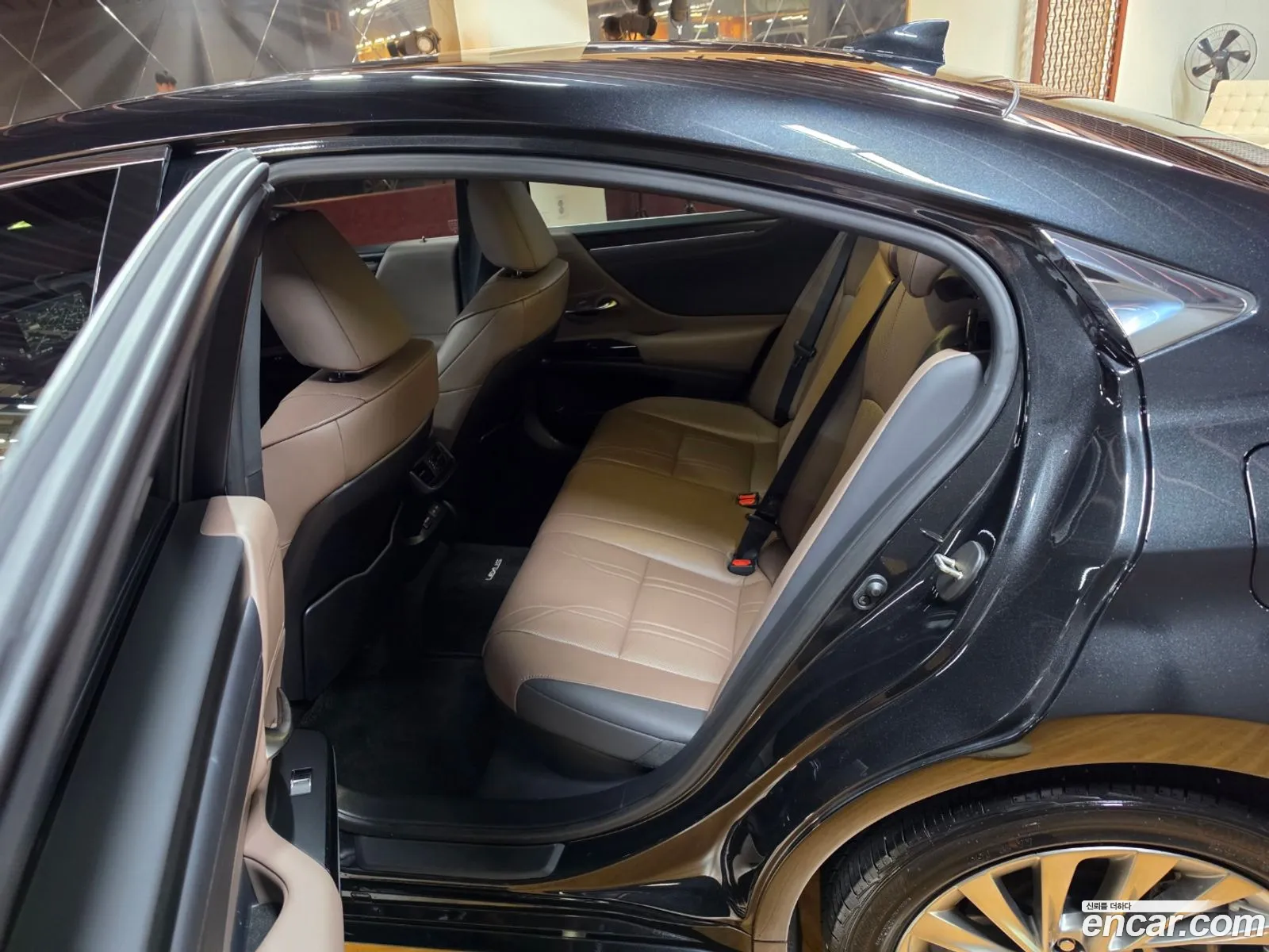 Lexus ES300h 7th Gen 2023 — 14