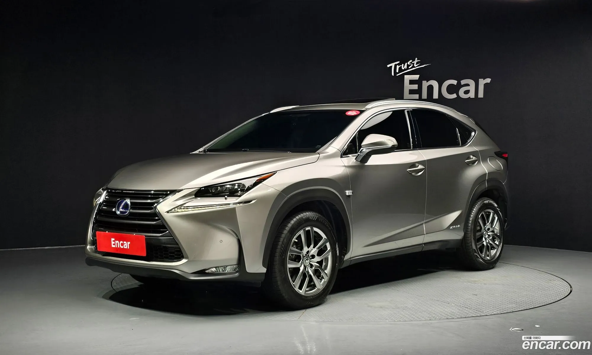 Lexus NX300h