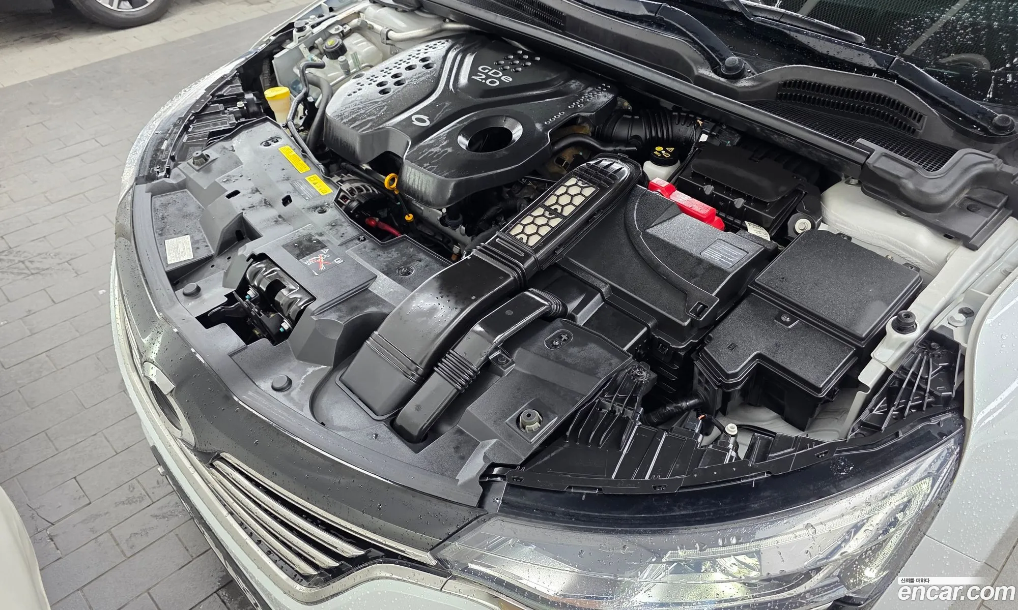 Renault Korea (Samsung) SM6 2018 — 19