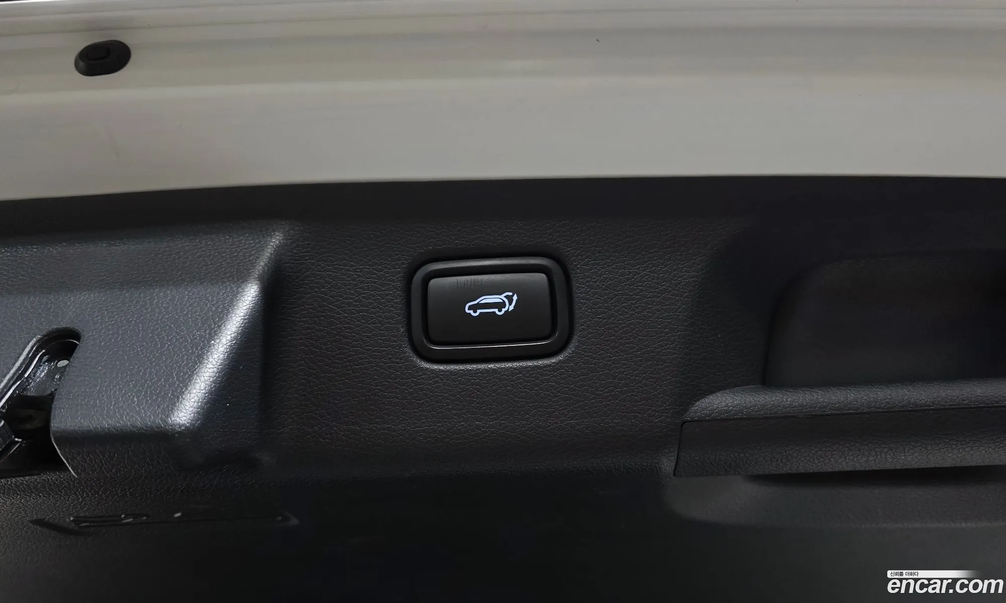Hyundai Palisade 2020 — 21