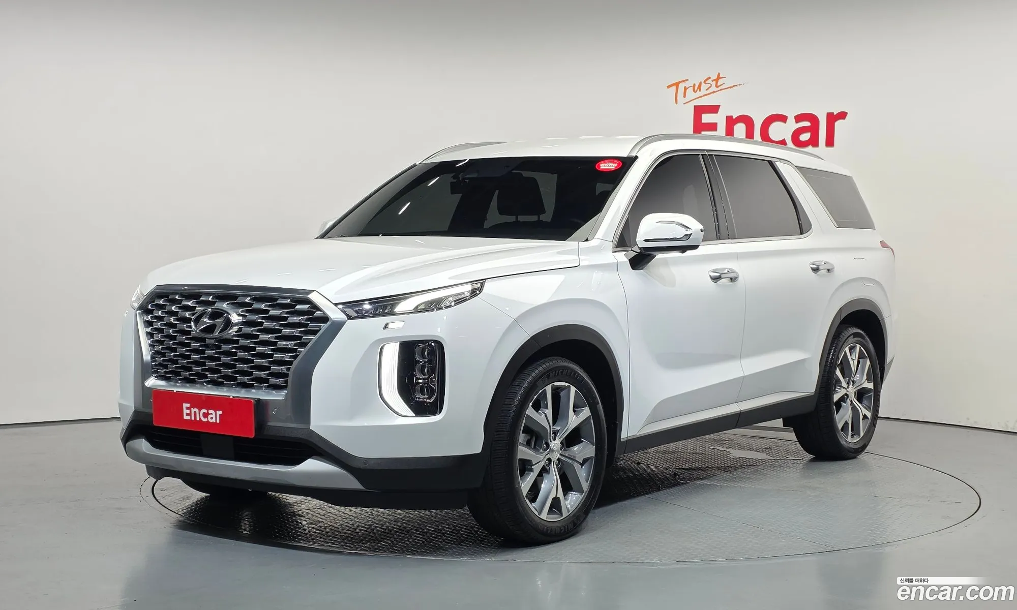 Hyundai Palisade 2020 — 16