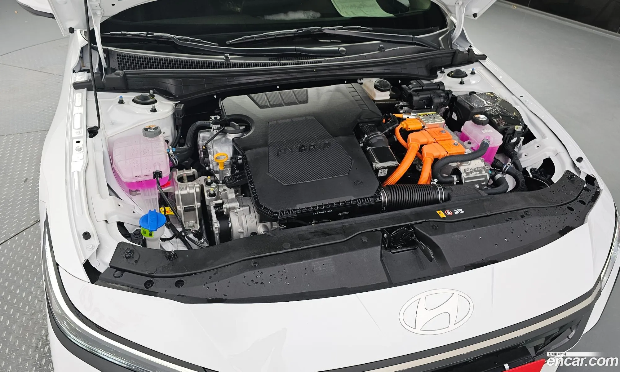 Hyundai Elantra Hybrid 2025 — 24