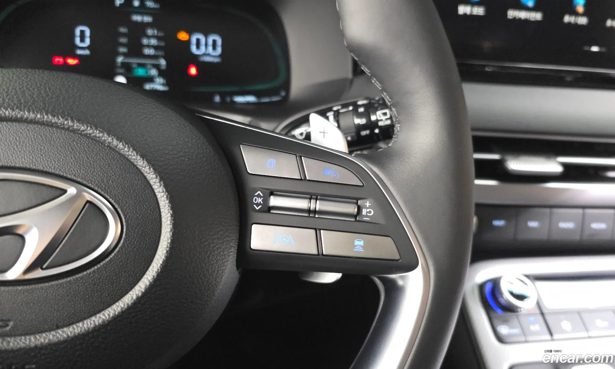 Hyundai Palisade 2022 KMHR281ABPU490273 — 31